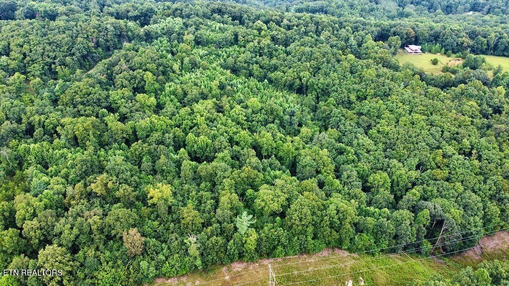 4 racoon - 18.5 acres Raccoon Ridge Rd, Spring City, TN 37381