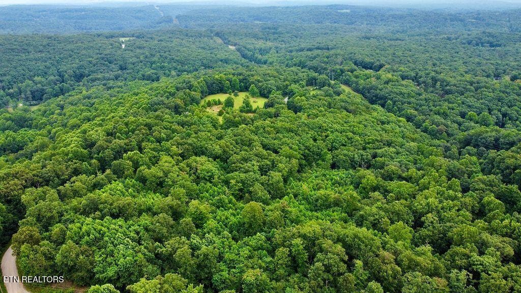 5 racoon - 18.5 acres Raccoon Ridge Rd, Spring City, TN 37381