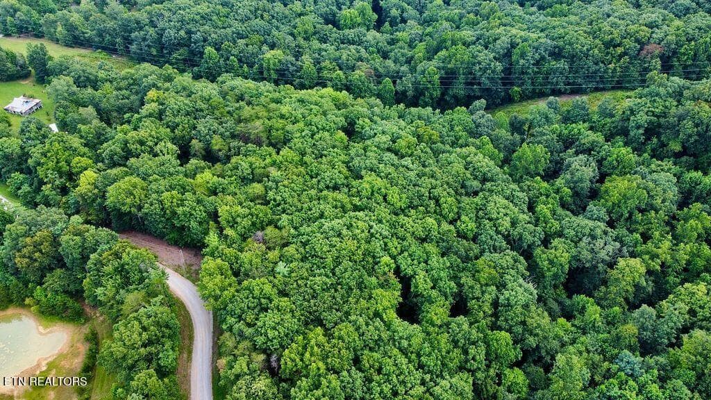 6 racoon - 18.5 acres Raccoon Ridge Rd, Spring City, TN 37381