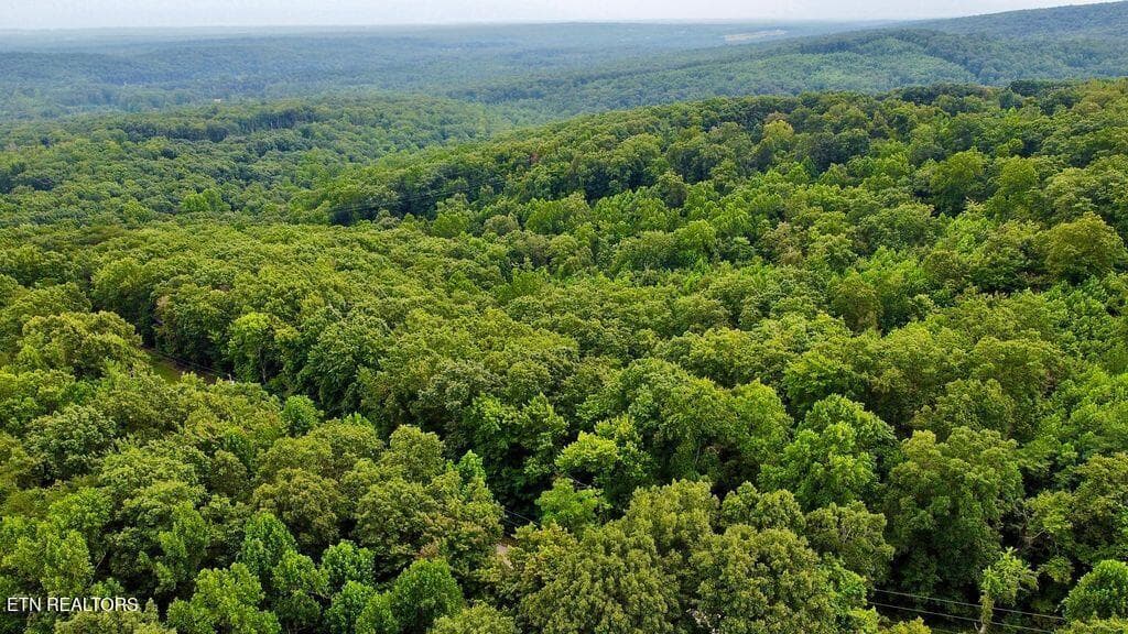7 racoon - 18.5 acres Raccoon Ridge Rd, Spring City, TN 37381