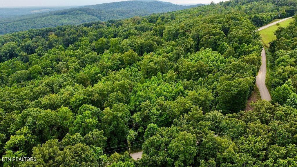 8 racoon - 18.5 acres Raccoon Ridge Rd, Spring City, TN 37381