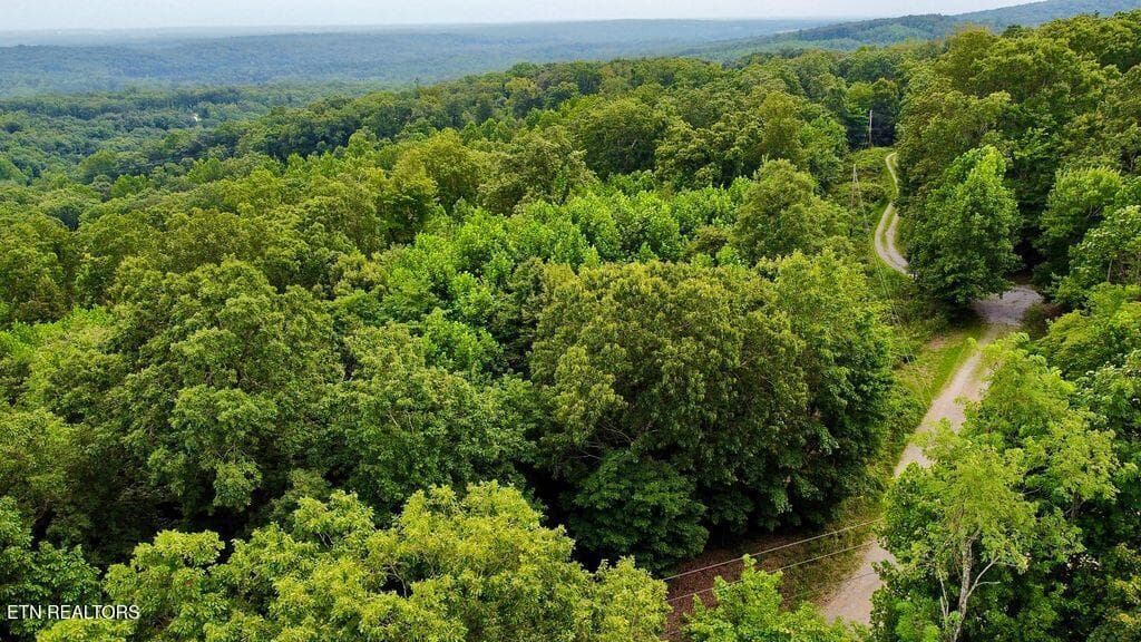 9 racoon - 18.5 acres Raccoon Ridge Rd, Spring City, TN 37381