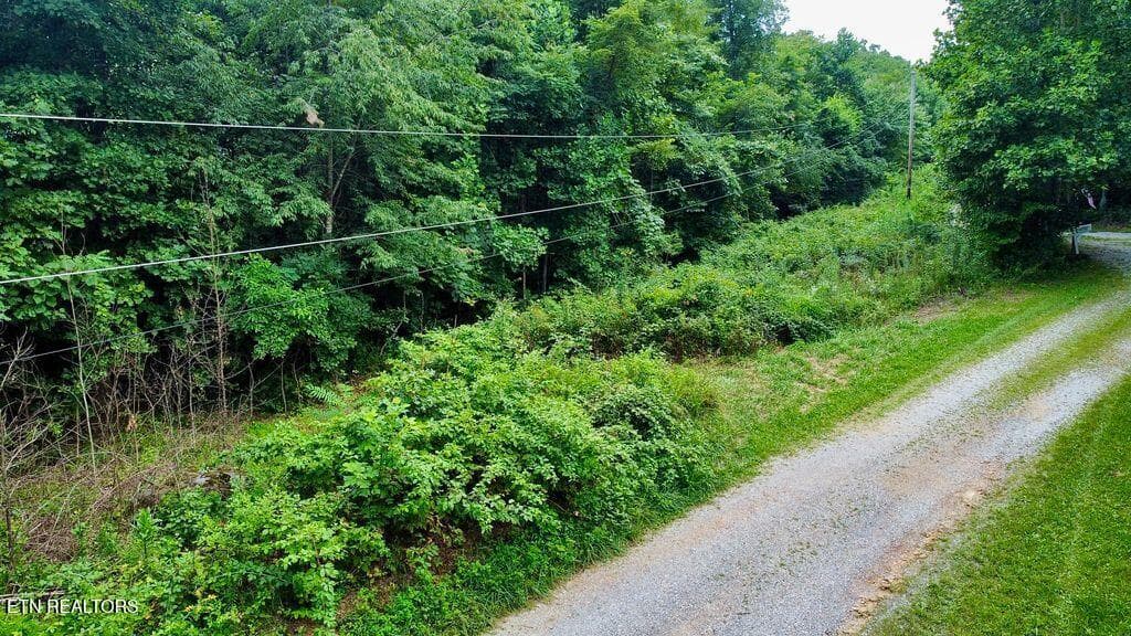 11 racoon - 18.5 acres Raccoon Ridge Rd, Spring City, TN 37381