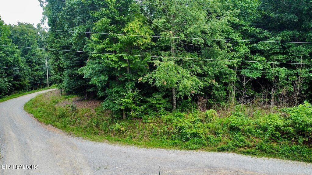 12 racoon - 18.5 acres Raccoon Ridge Rd, Spring City, TN 37381