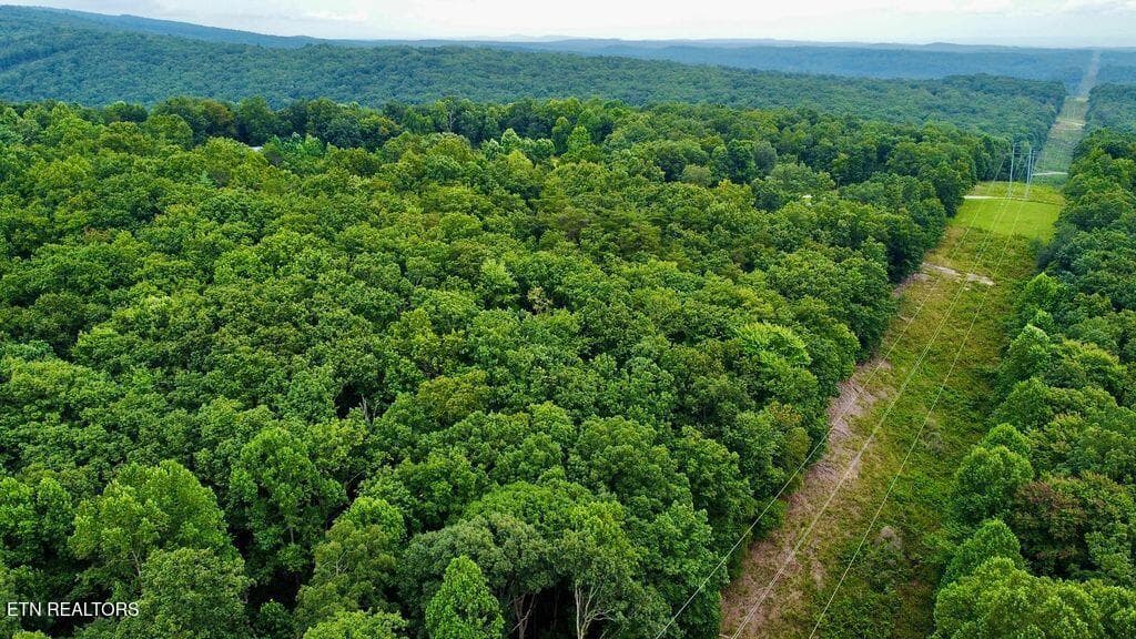 16 racoon - 18.5 acres Raccoon Ridge Rd, Spring City, TN 37381