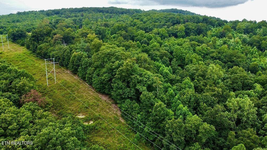 17 racoon - 18.5 acres Raccoon Ridge Rd, Spring City, TN 37381