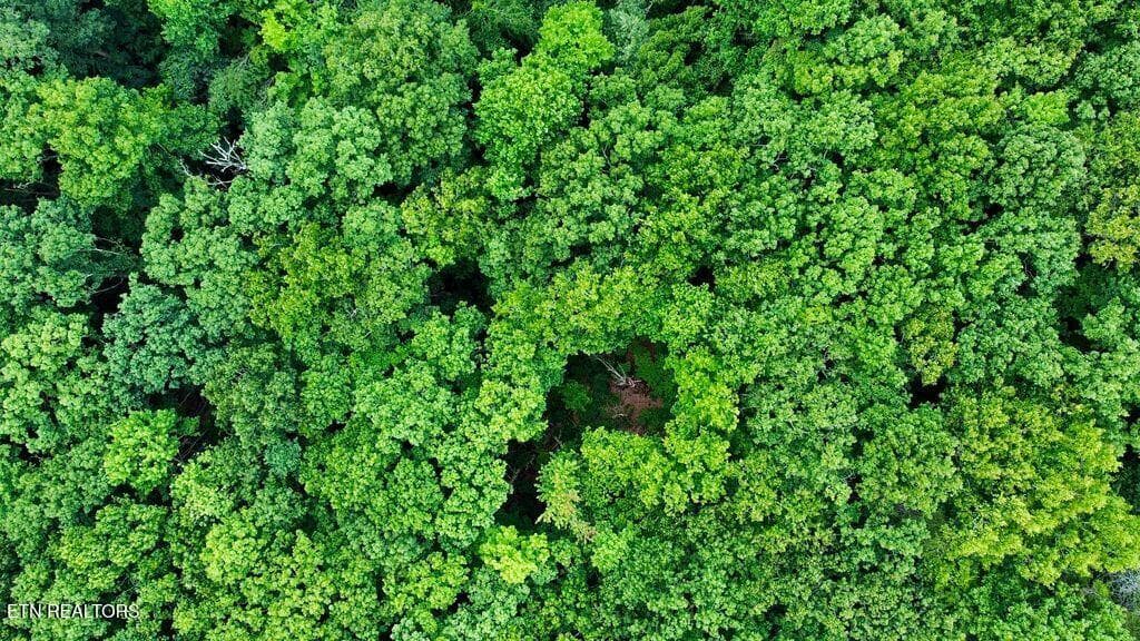 19 racoon - 18.5 acres Raccoon Ridge Rd, Spring City, TN 37381