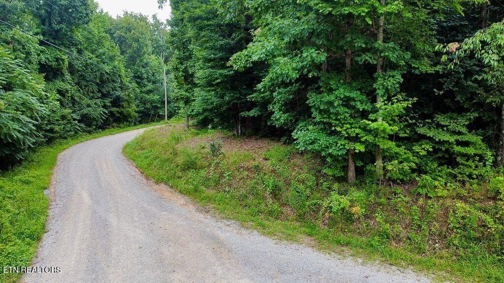 20 racoon - 18.5 acres Raccoon Ridge Rd, Spring City, TN 37381
