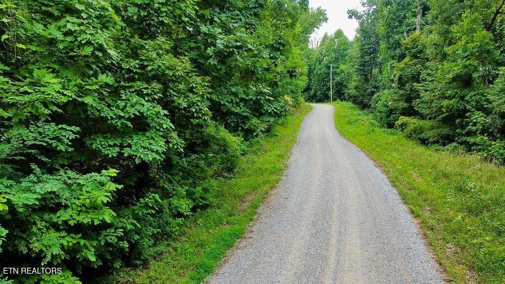 21 racoon - 18.5 acres Raccoon Ridge Rd, Spring City, TN 37381
