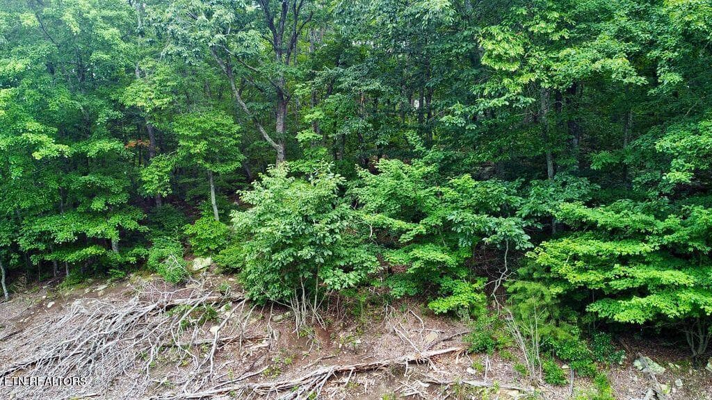 22 racoon - 18.5 acres Raccoon Ridge Rd, Spring City, TN 37381
