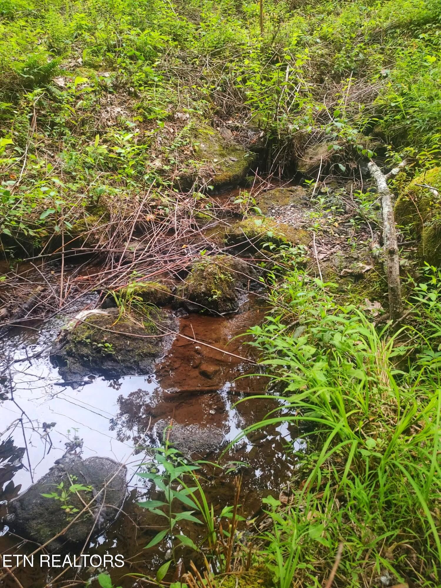 1000021536 - 18.5 acres Raccoon Ridge Rd, Spring City, TN 37381