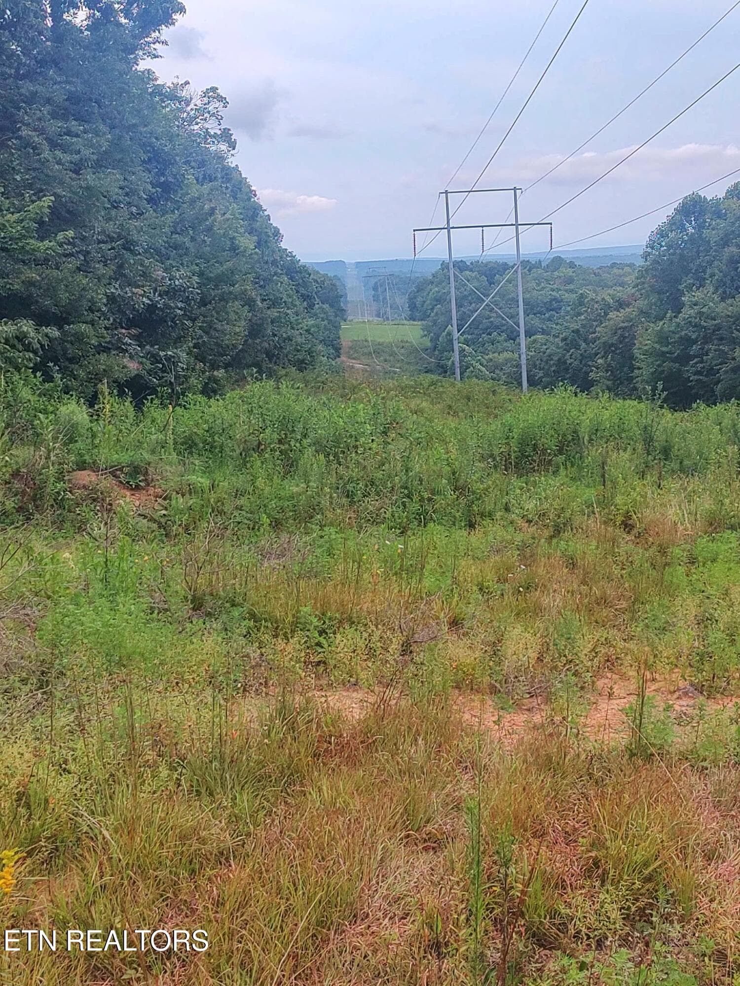 1000021534 - 18.5 acres Raccoon Ridge Rd, Spring City, TN 37381