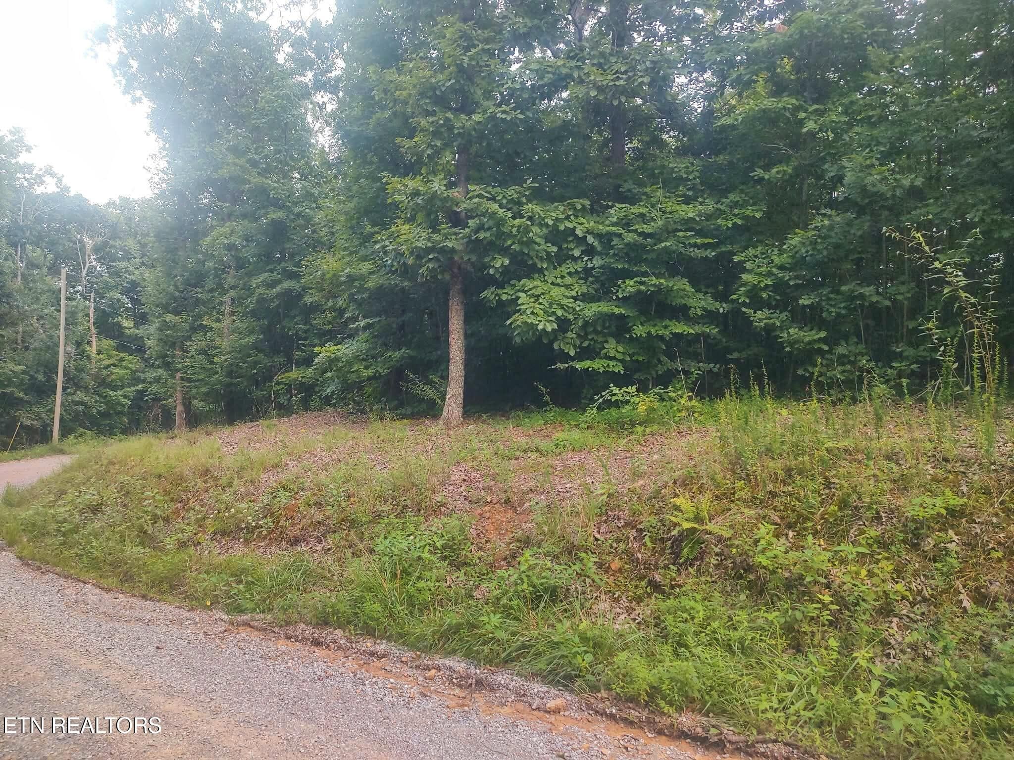 1000021530 - 18.5 acres Raccoon Ridge Rd, Spring City, TN 37381