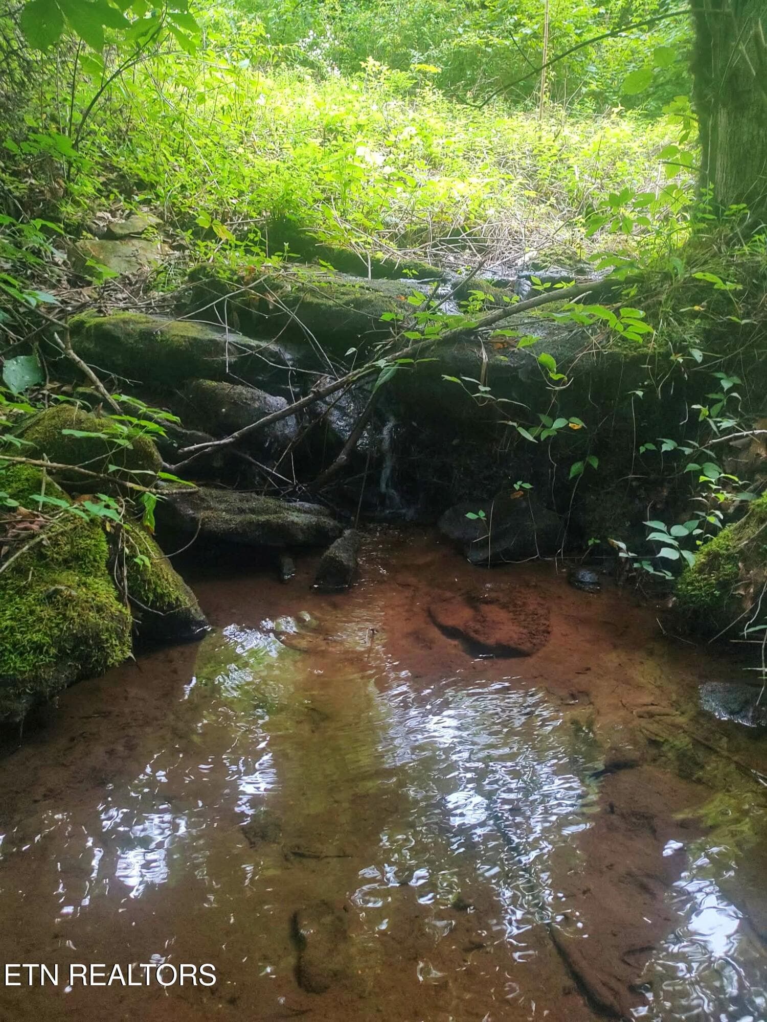 18.5 acres Raccoon Ridge Rd, Spring City, TN 37381