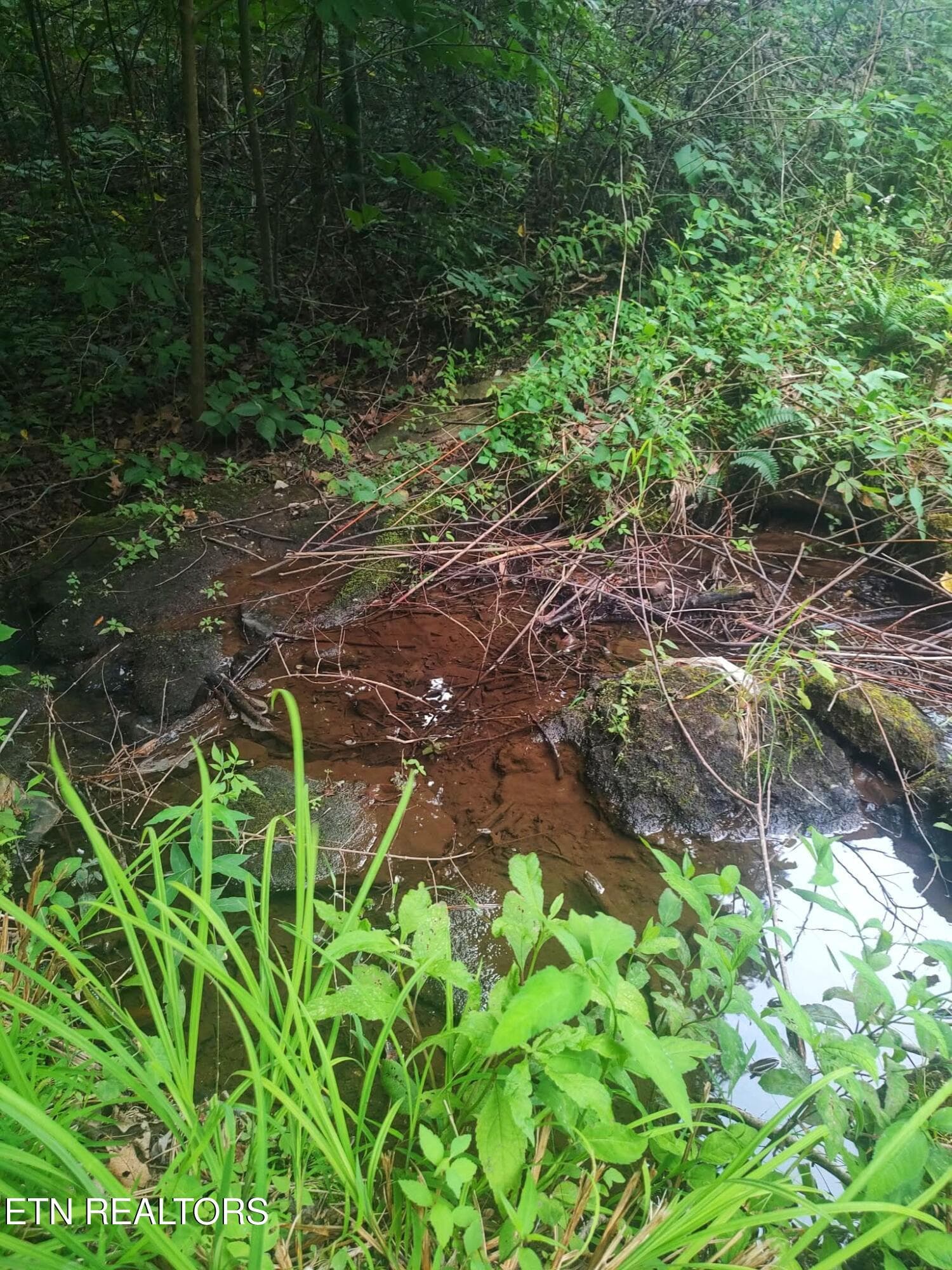 1000021527 - 18.5 acres Raccoon Ridge Rd, Spring City, TN 37381