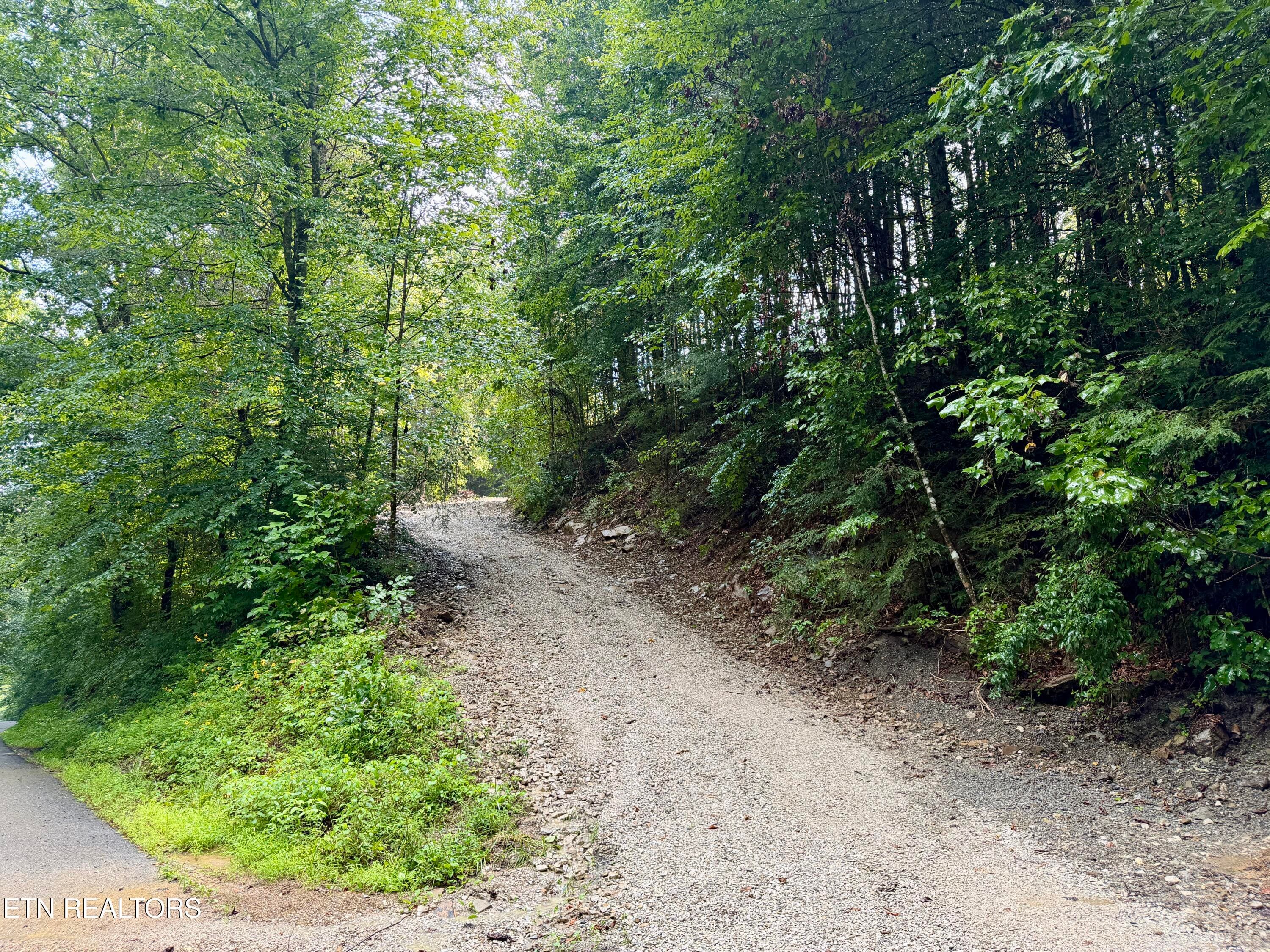 IMG_6287 - 0 Melvin Hollow Rd, Pioneer, TN 37847