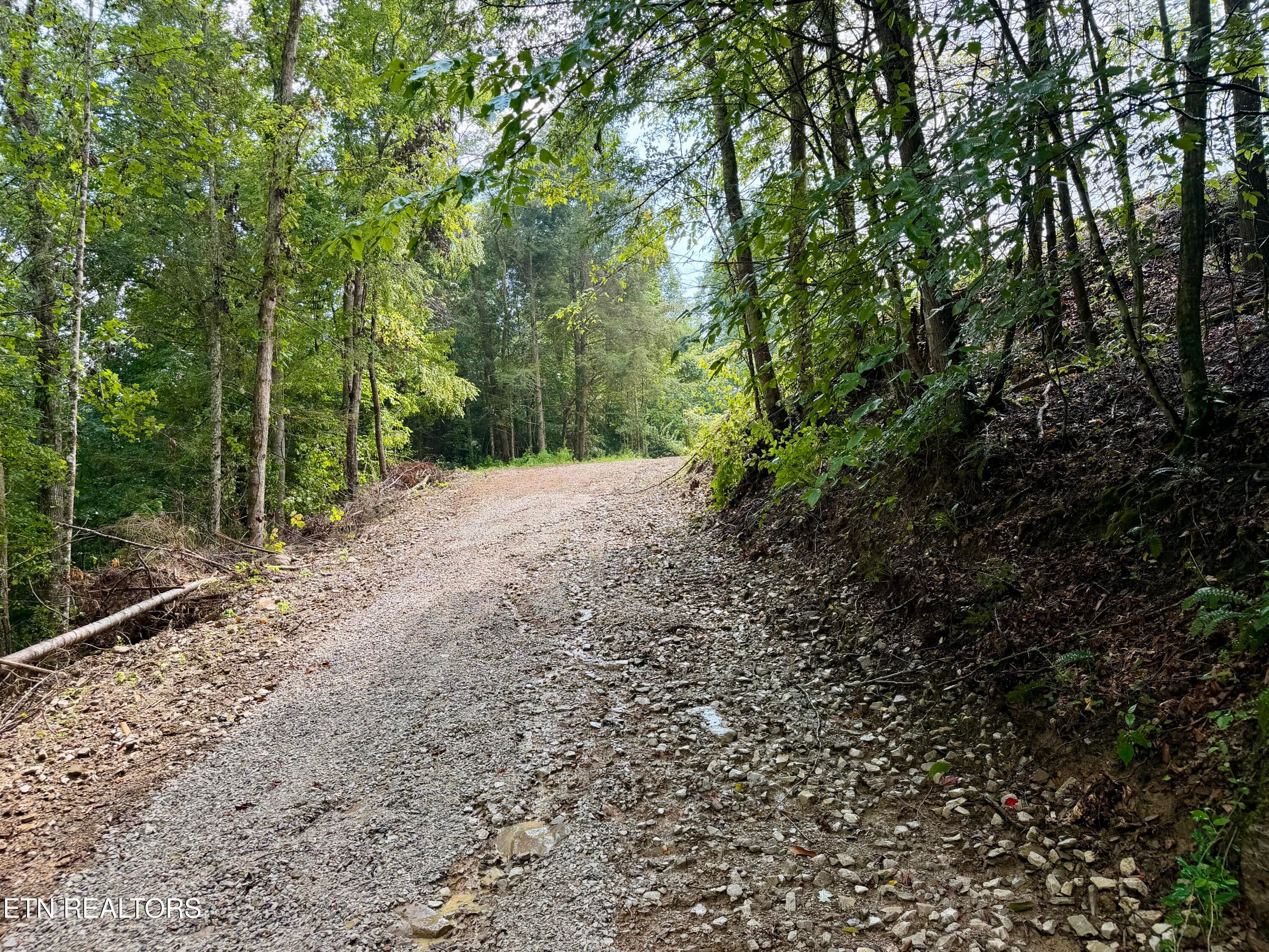 IMG_6290 - 0 Melvin Hollow Rd, Pioneer, TN 37847