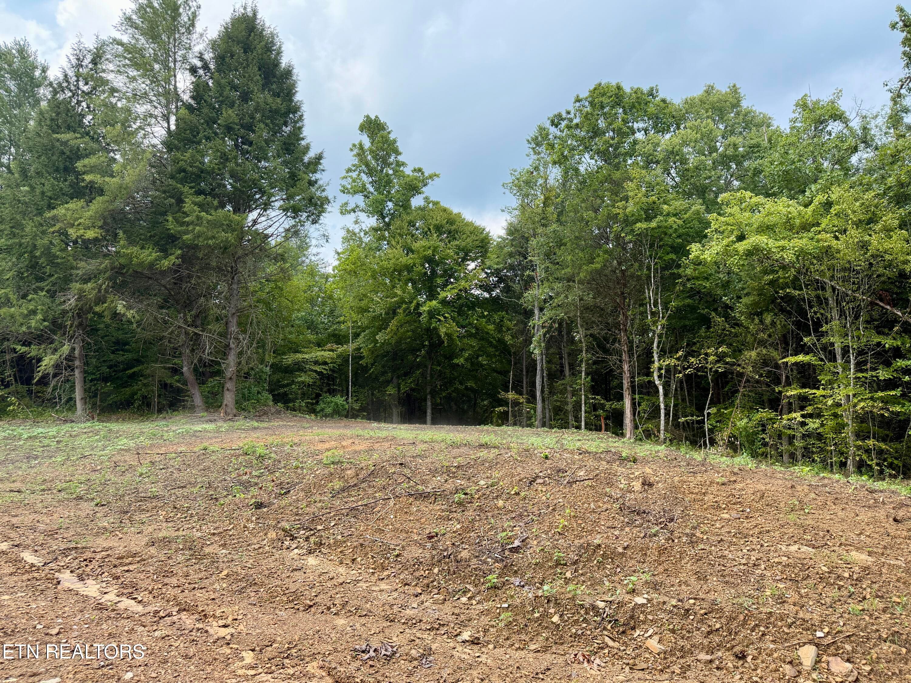 IMG_6292 - 0 Melvin Hollow Rd, Pioneer, TN 37847
