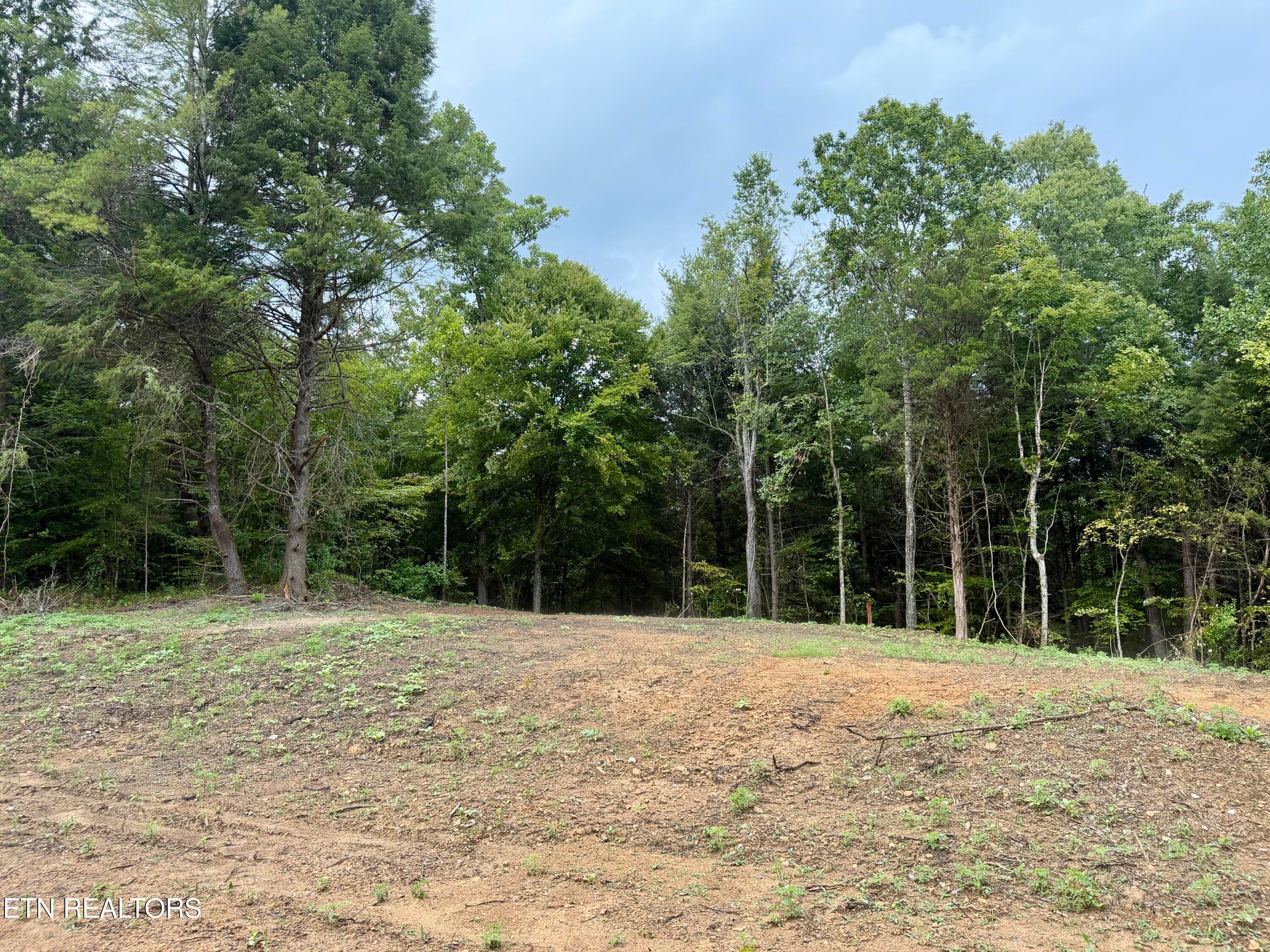 IMG_6293 - 0 Melvin Hollow Rd, Pioneer, TN 37847