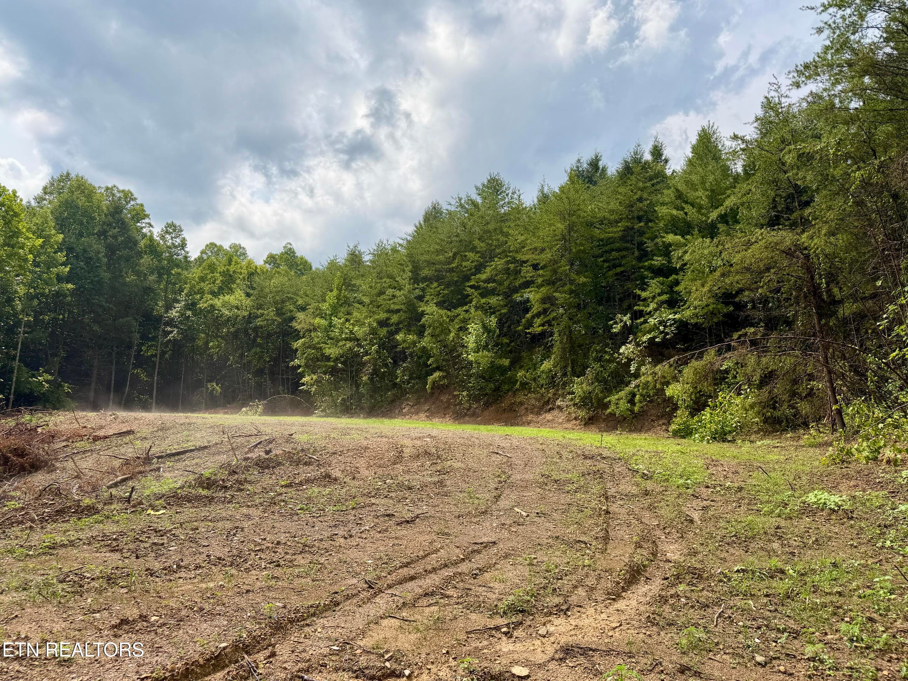 IMG_6295 - 0 Melvin Hollow Rd, Pioneer, TN 37847