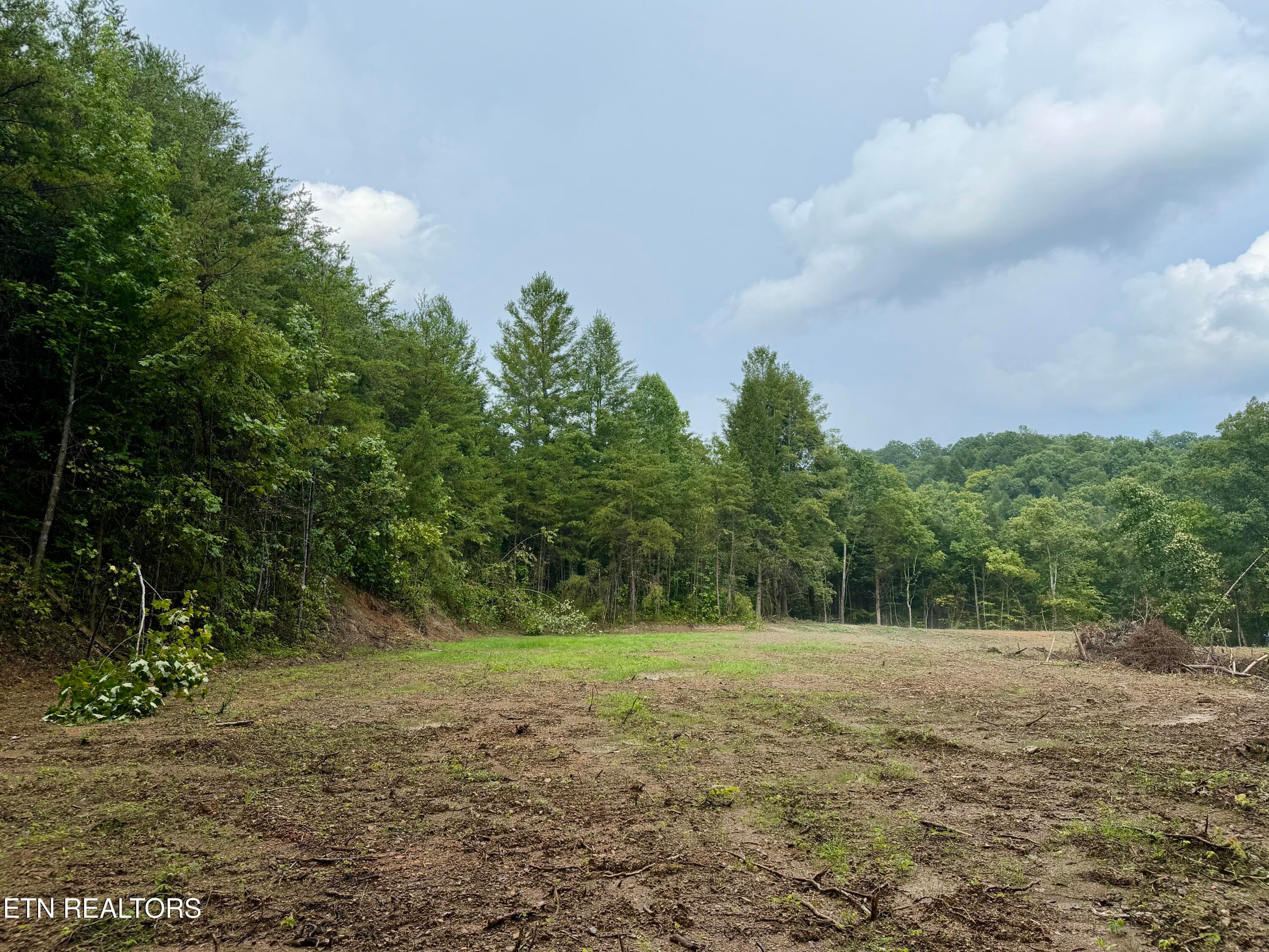 IMG_6300 - 0 Melvin Hollow Rd, Pioneer, TN 37847