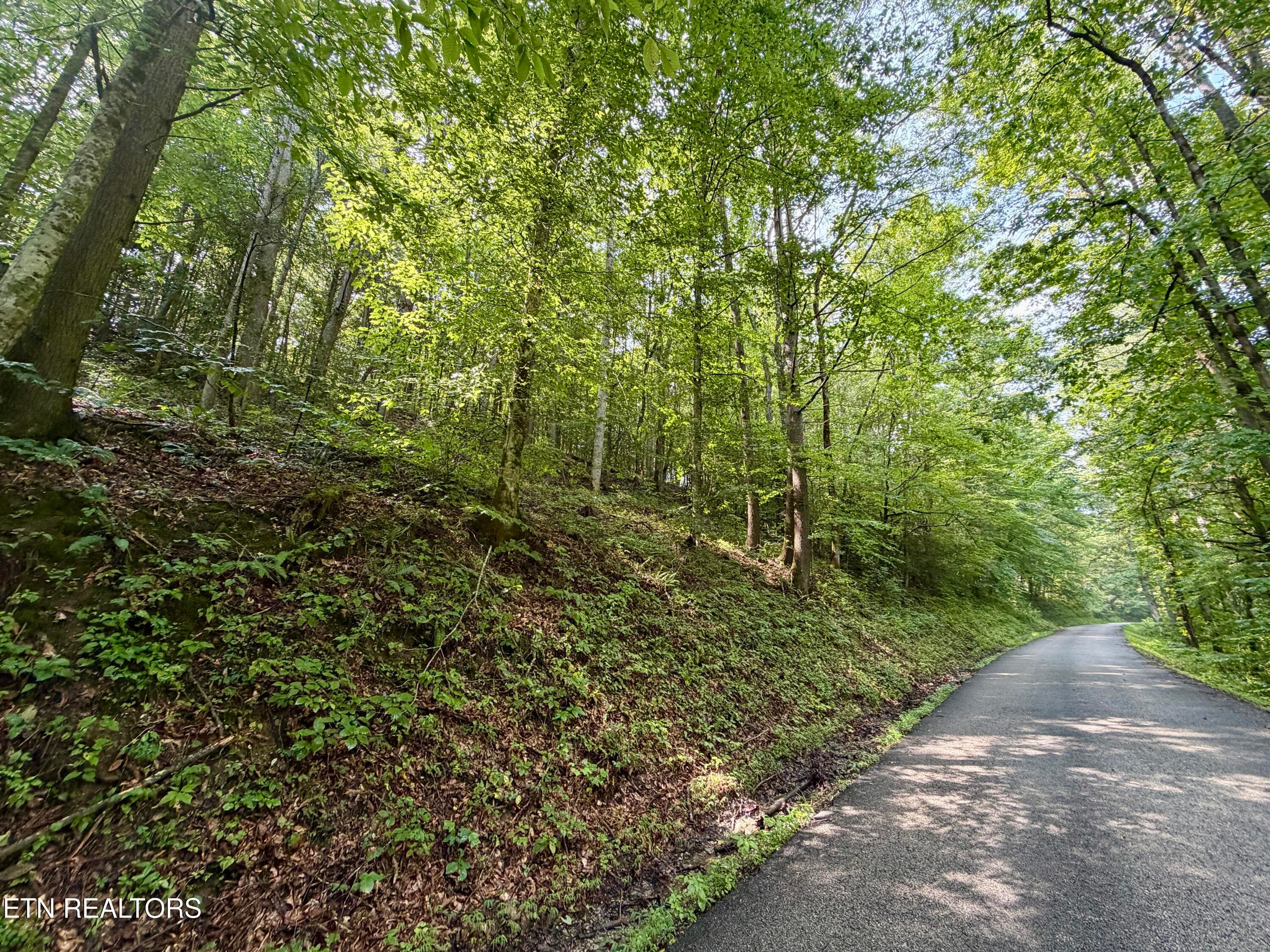IMG_6312 - 0 Melvin Hollow Rd, Pioneer, TN 37847