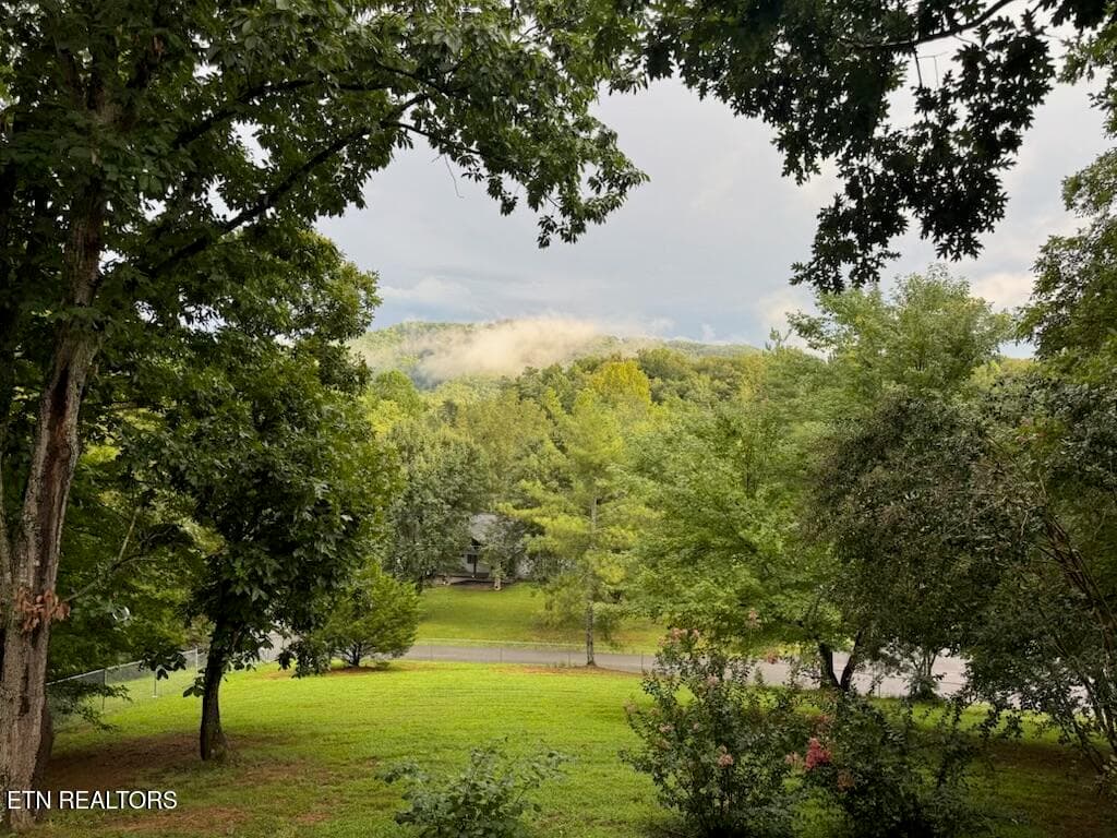 IMG_6240 - 744 Lee Circle, Sevierville, TN 37862