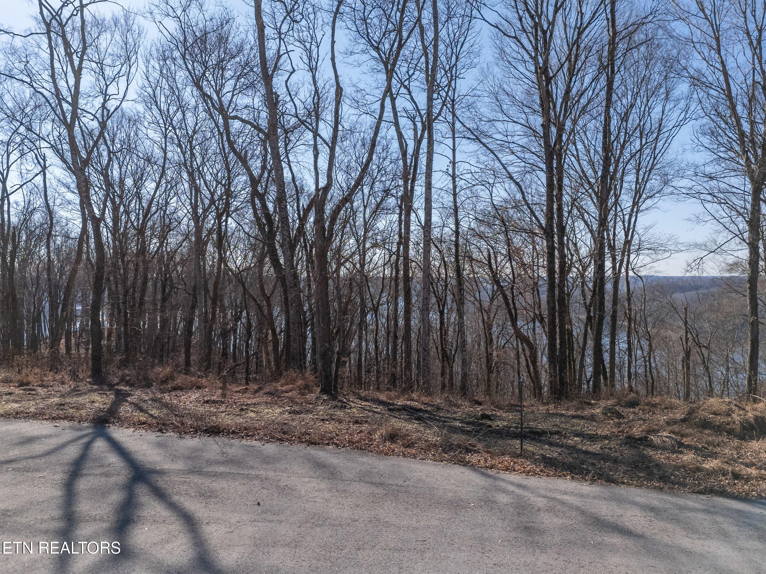 mls-9 - Lot 28 Back Ranch Drive, Silver Point, TN 38582