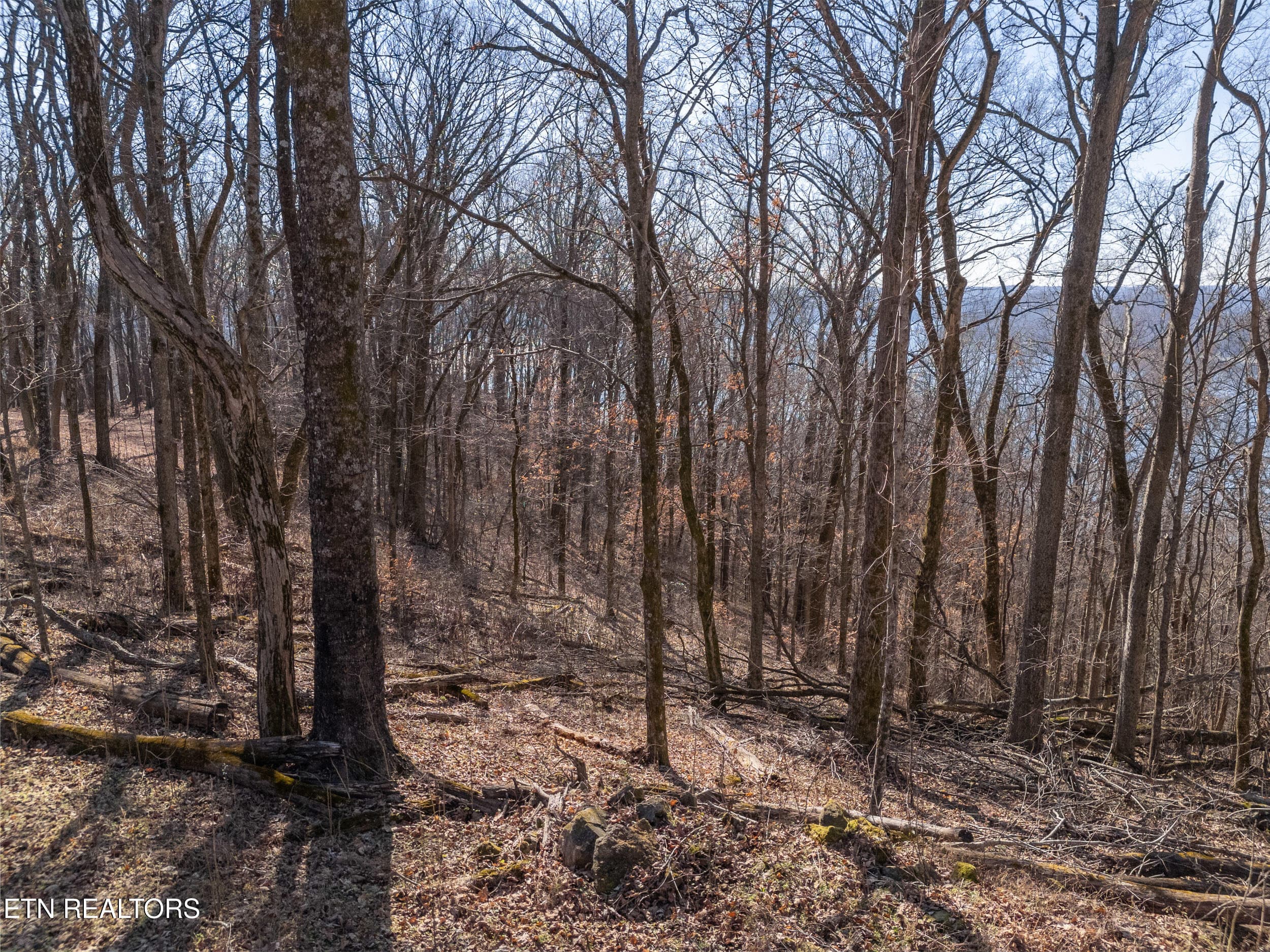 mls-10 - Lot 28 Back Ranch Drive, Silver Point, TN 38582