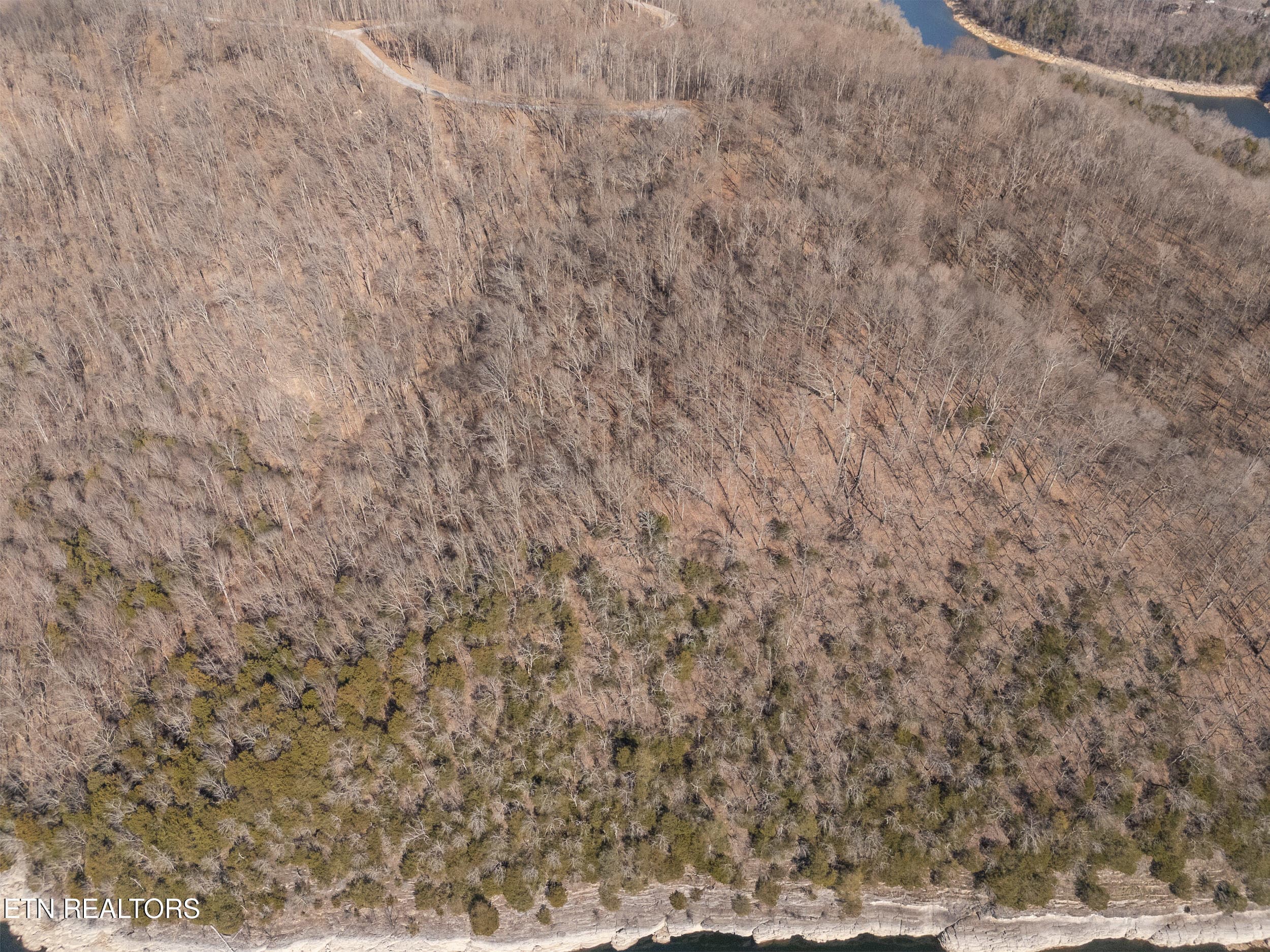mls-11 - Lot 28 Back Ranch Drive, Silver Point, TN 38582