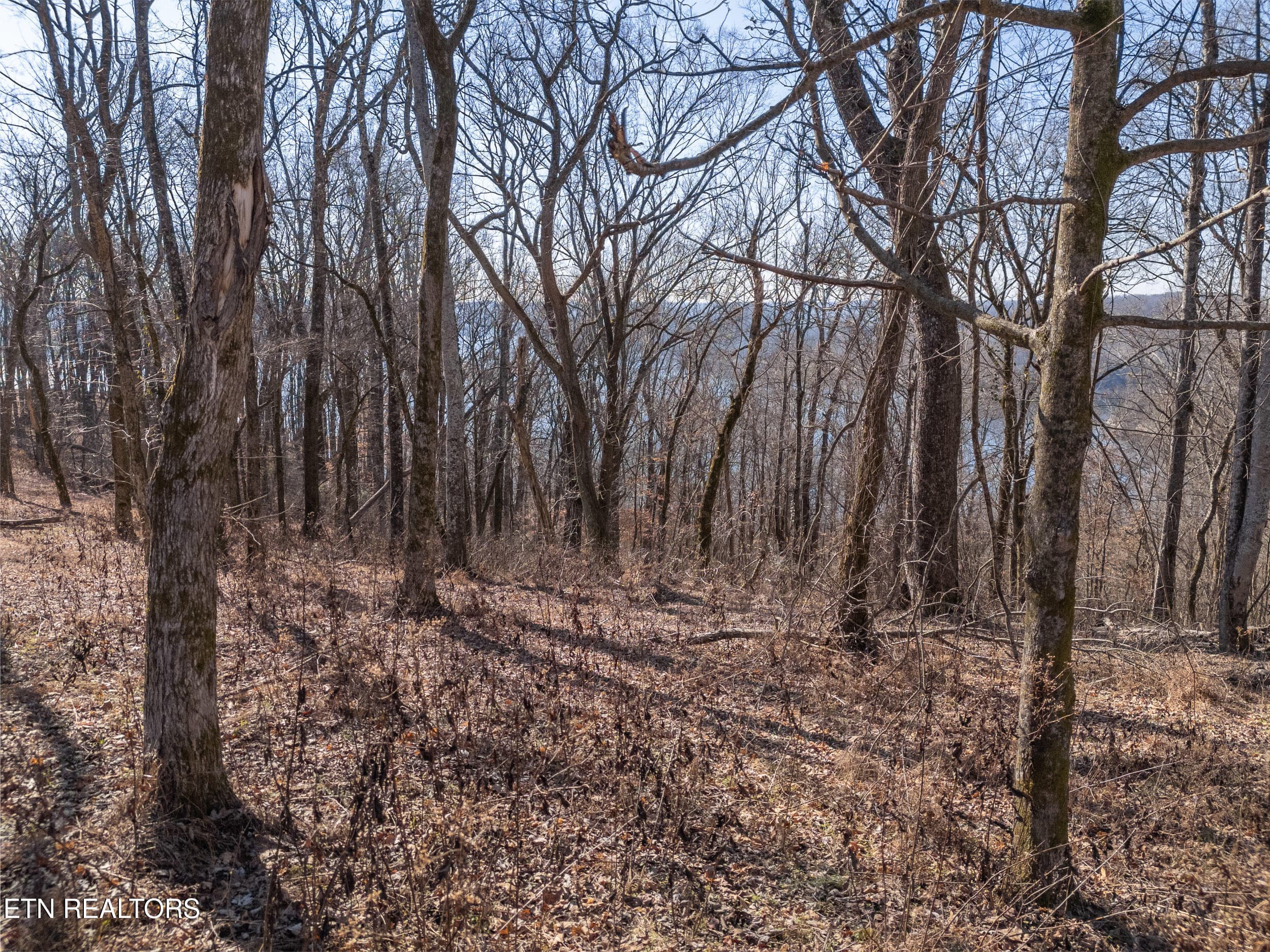 mls-13 - Lot 28 Back Ranch Drive, Silver Point, TN 38582