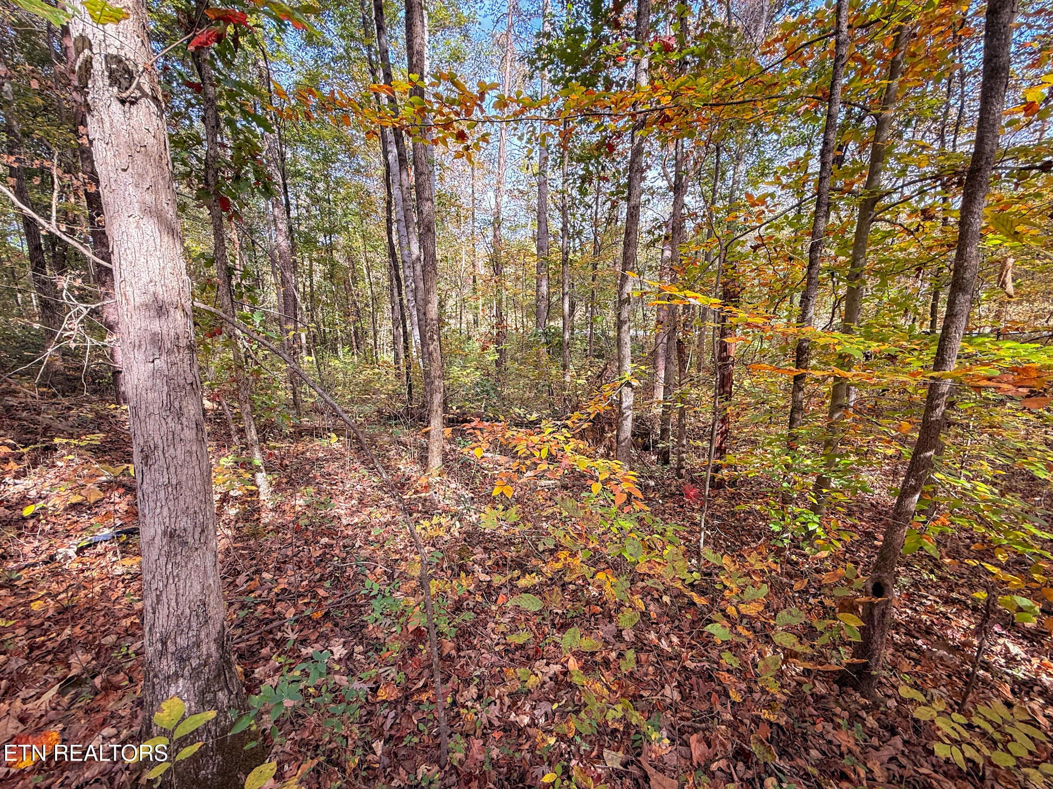 4 - Co Rd 475, Etowah, TN 37331
