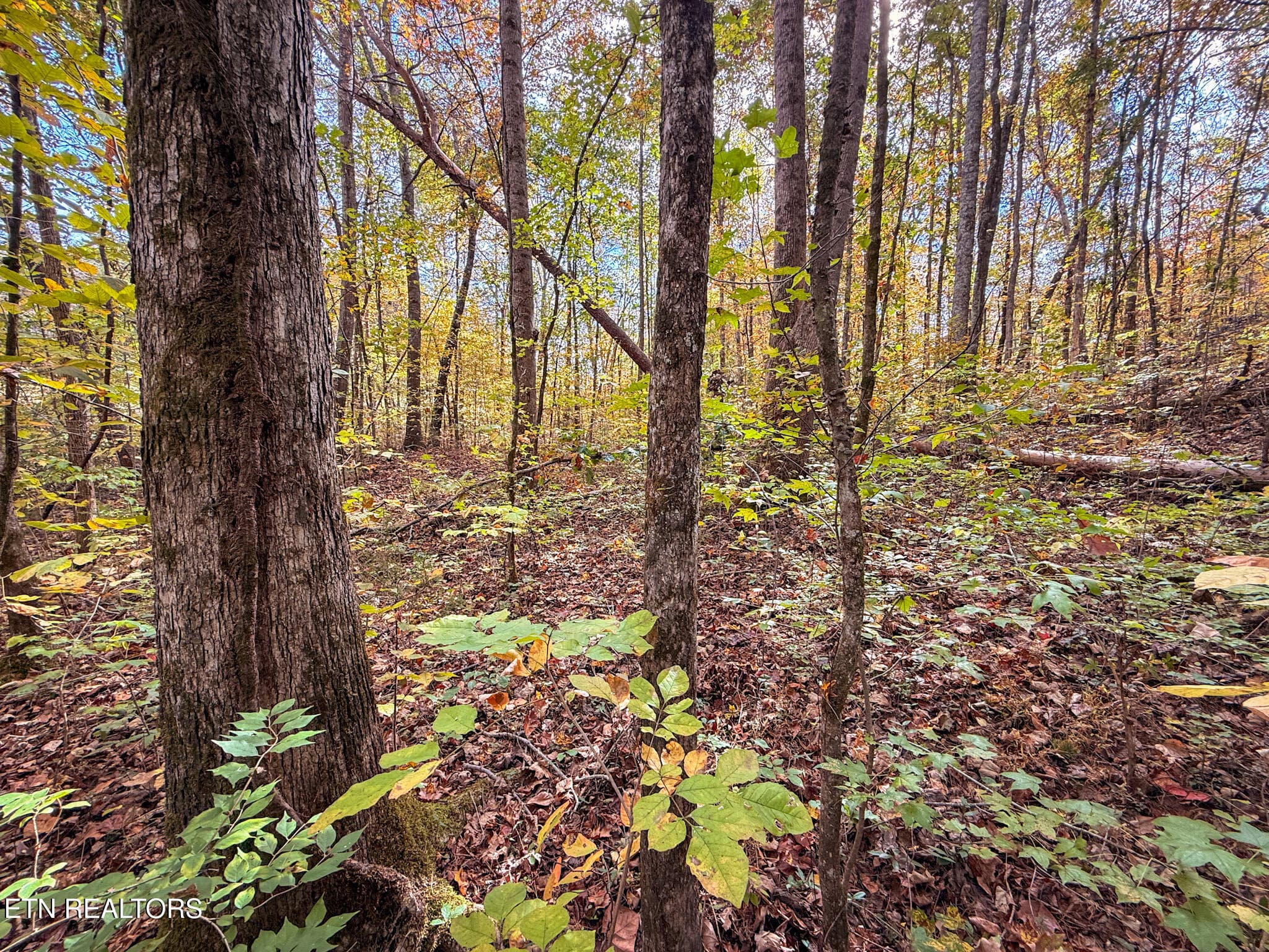 6 - Co Rd 475, Etowah, TN 37331