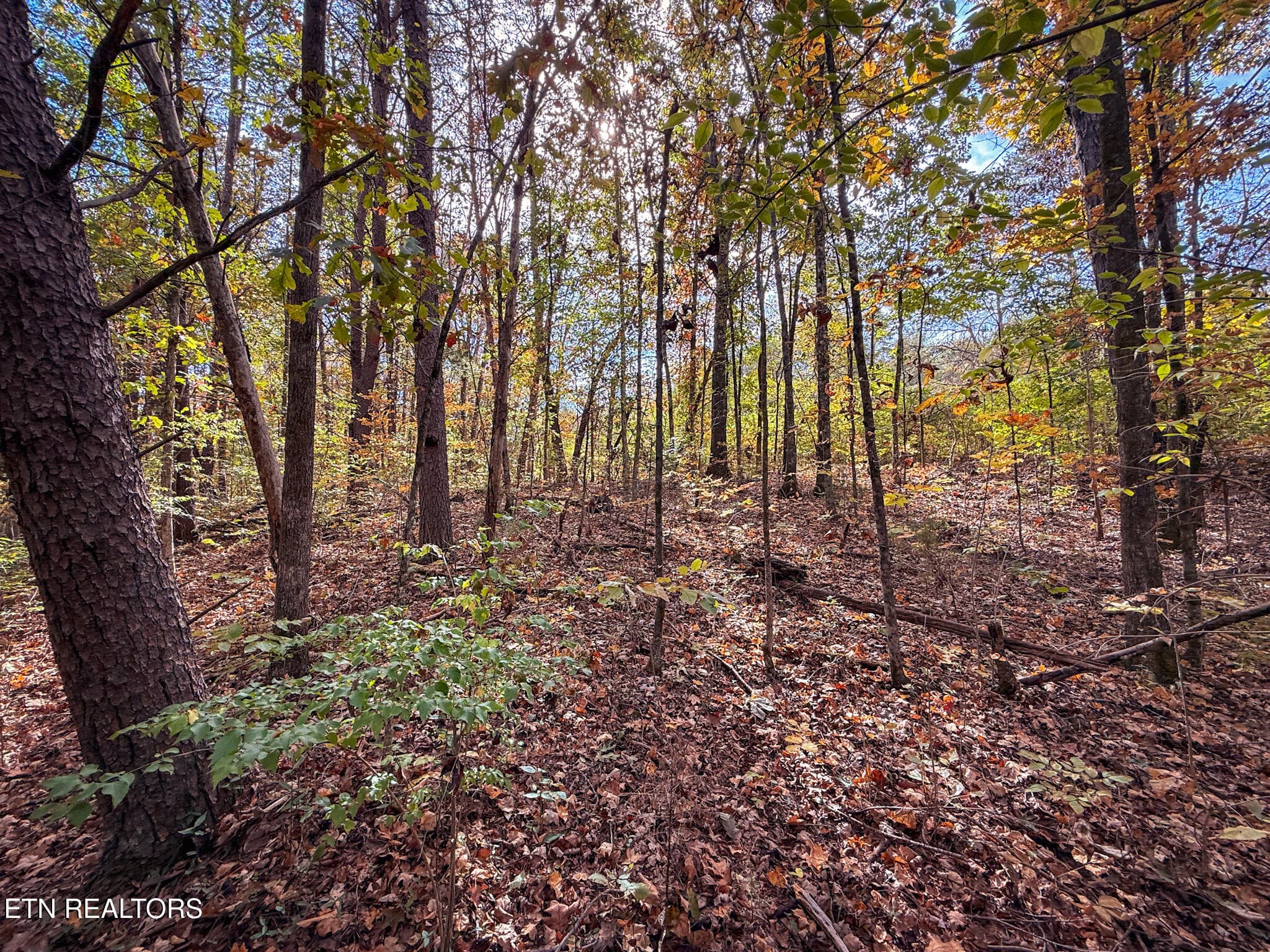 7 - Co Rd 475, Etowah, TN 37331