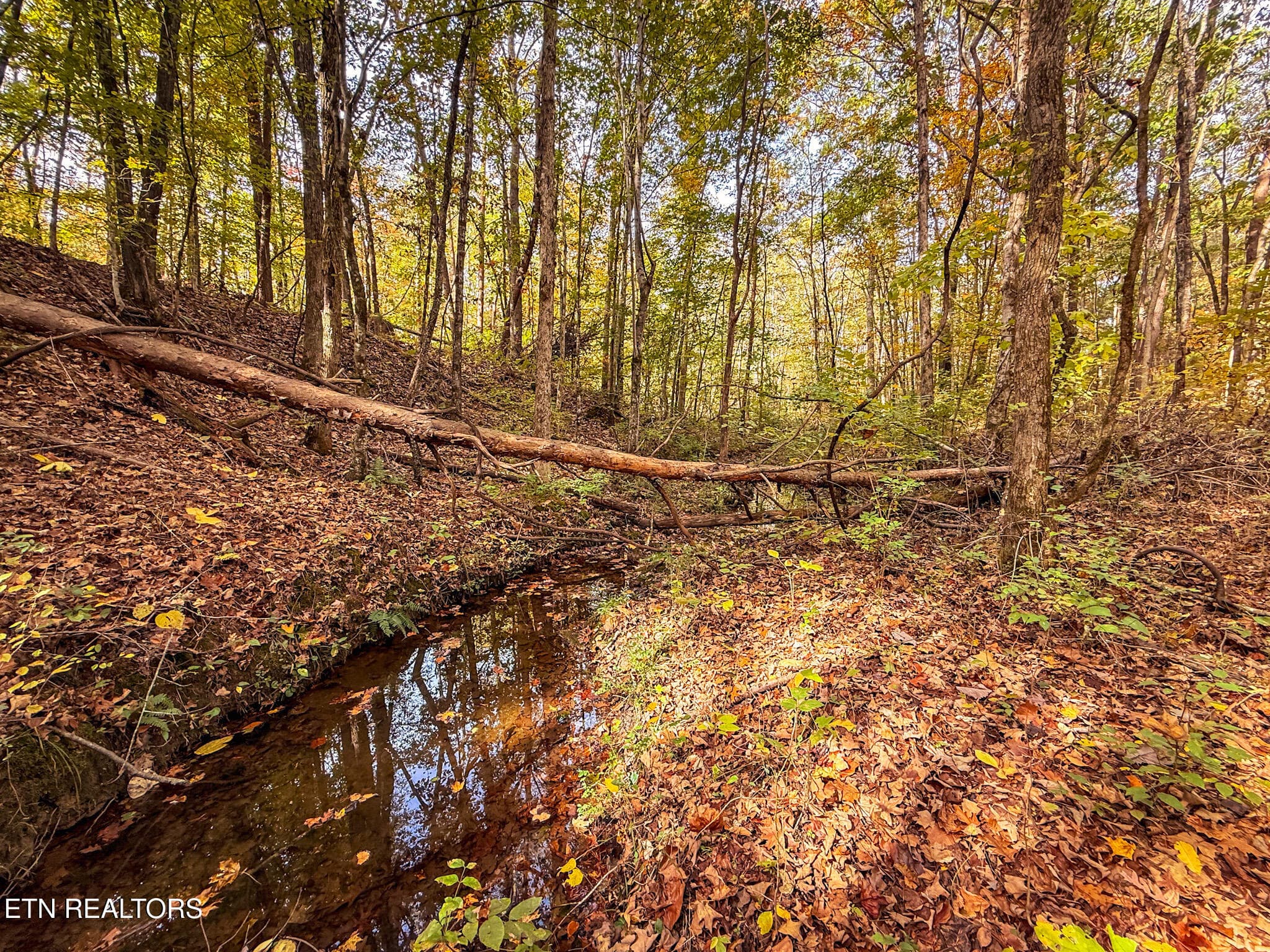 8 - Co Rd 475, Etowah, TN 37331