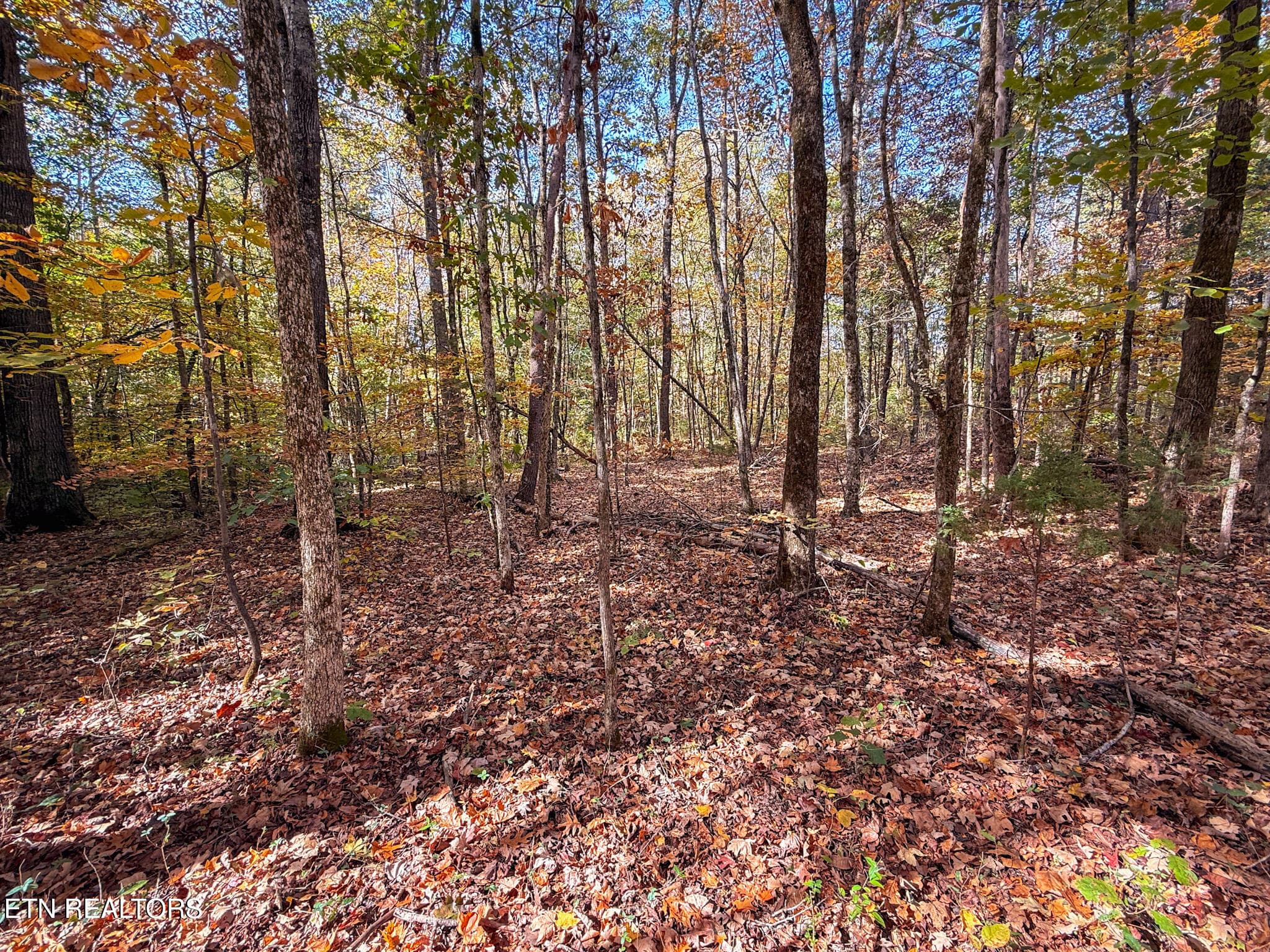 10 - Co Rd 475, Etowah, TN 37331