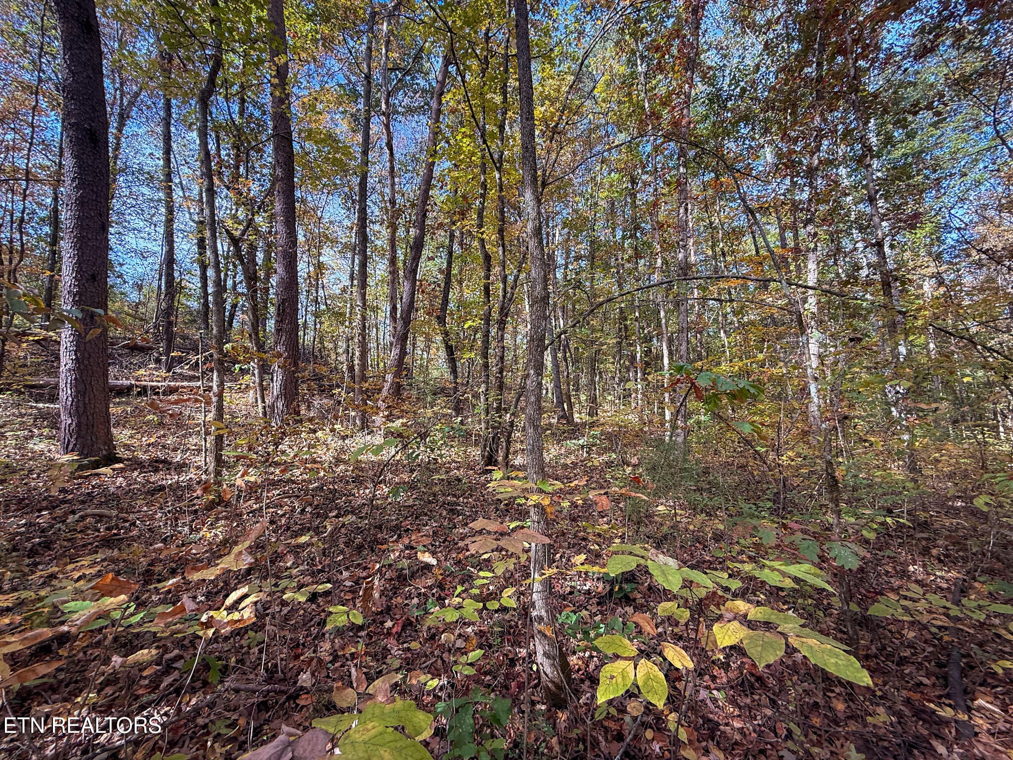 13 - Co Rd 475, Etowah, TN 37331