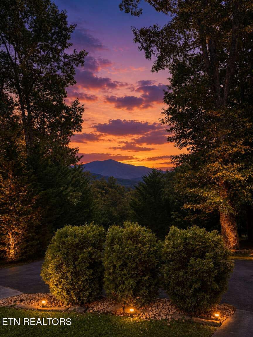 Hoskins.4 - 479 Mill Creek Rd, Pigeon Forge, TN 37863, Pigeon Forge
