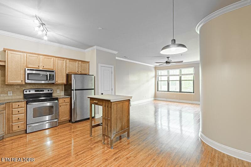 003--SMALL - 445 W Blount Ave 303, Knoxville, TN 37920, Knoxville