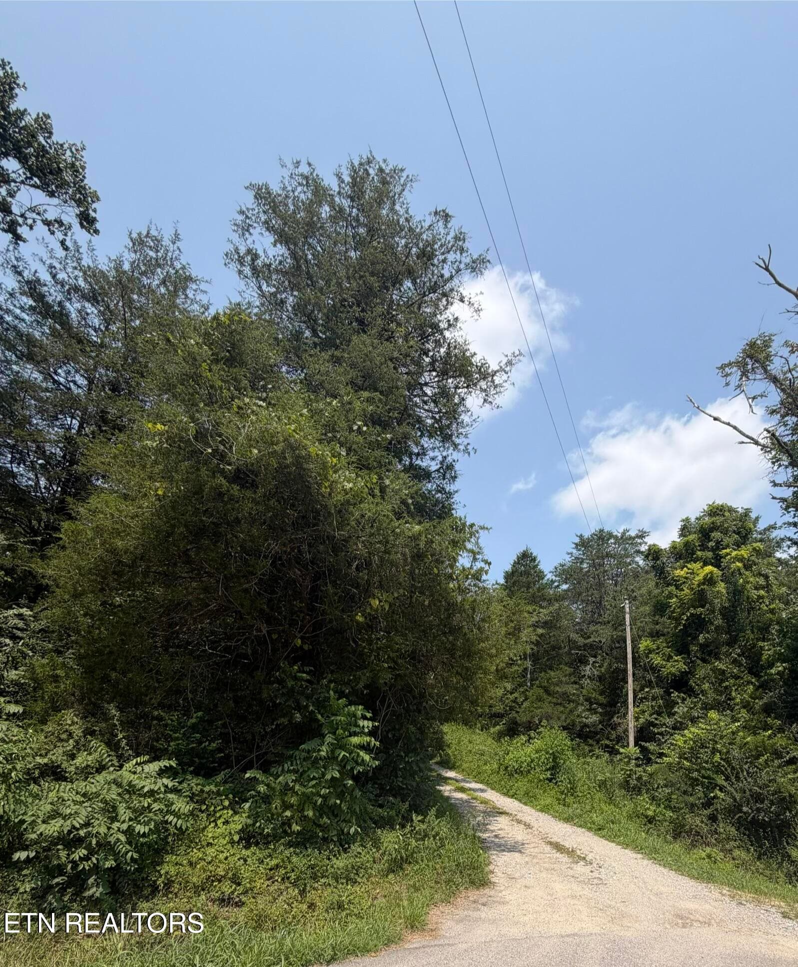2544 Hinds Creek Rd, Heiskell, TN 37754