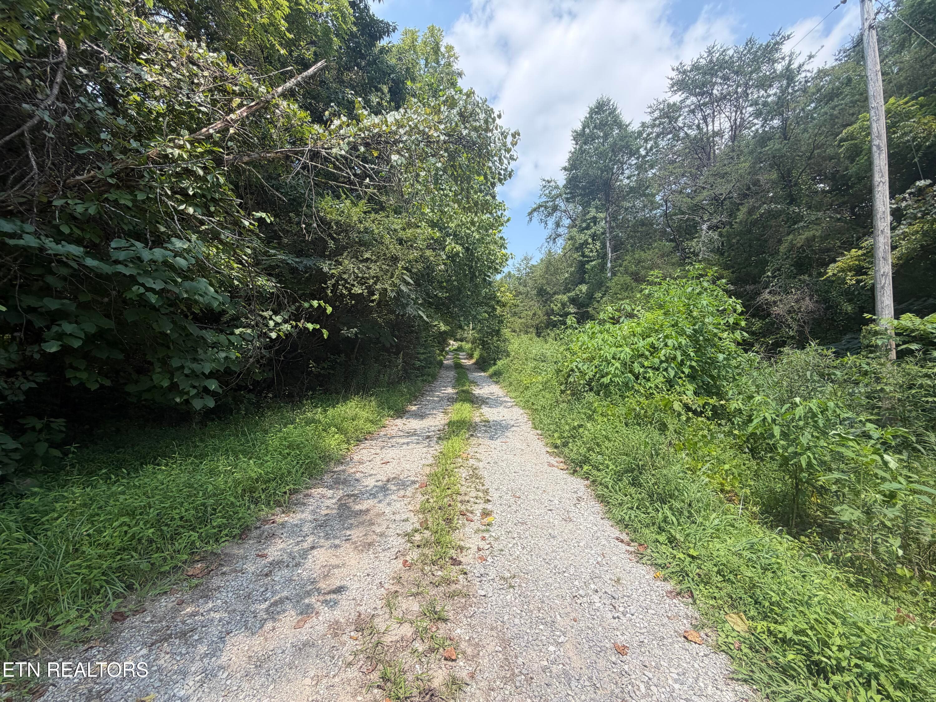 2544 Hinds Creek Rd - Road to property - 2544 Hinds Creek Rd, Heiskell, TN 37754