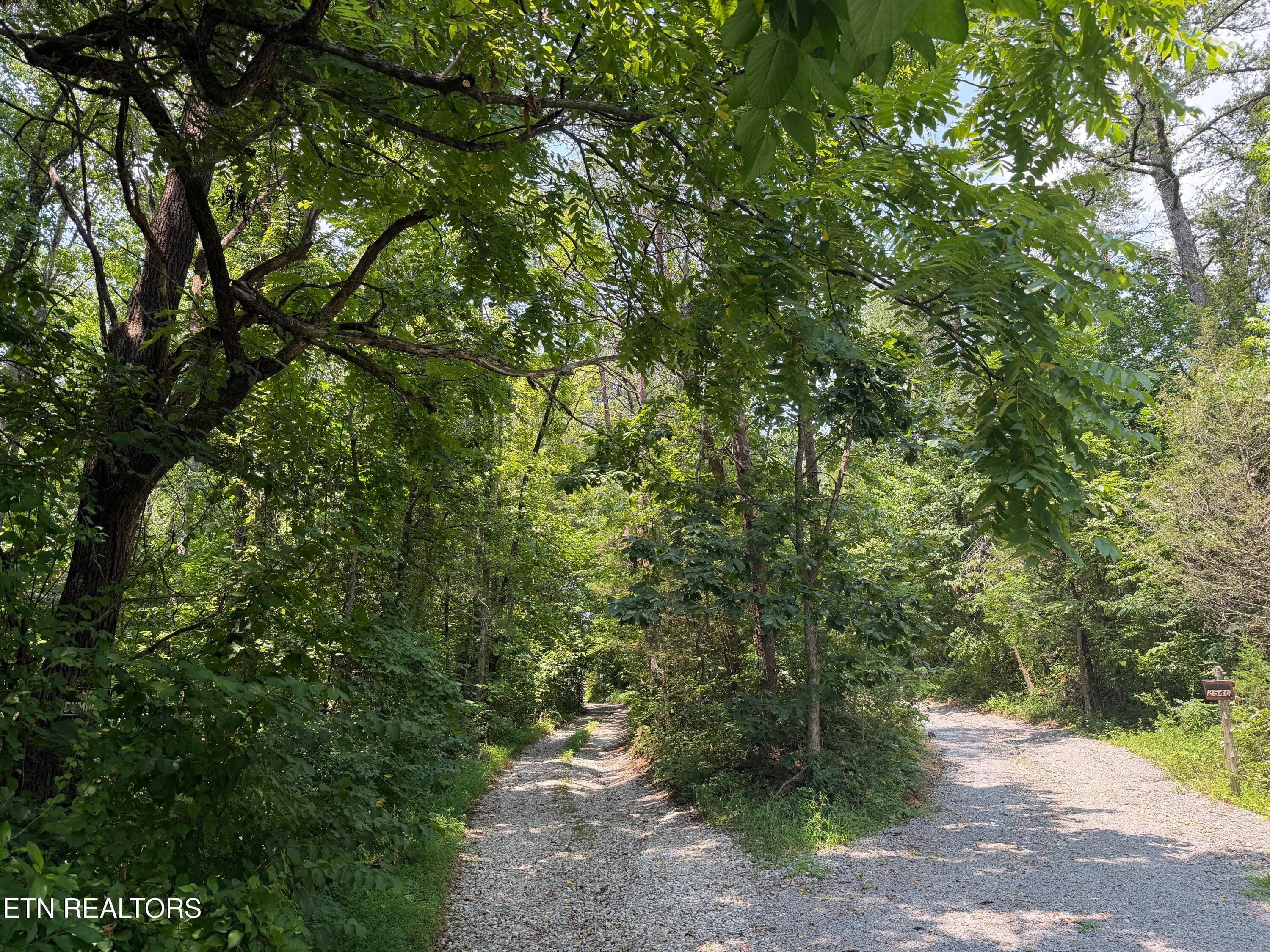 2544 Hinds Creek Rd - Road to property - - 2544 Hinds Creek Rd, Heiskell, TN 37754