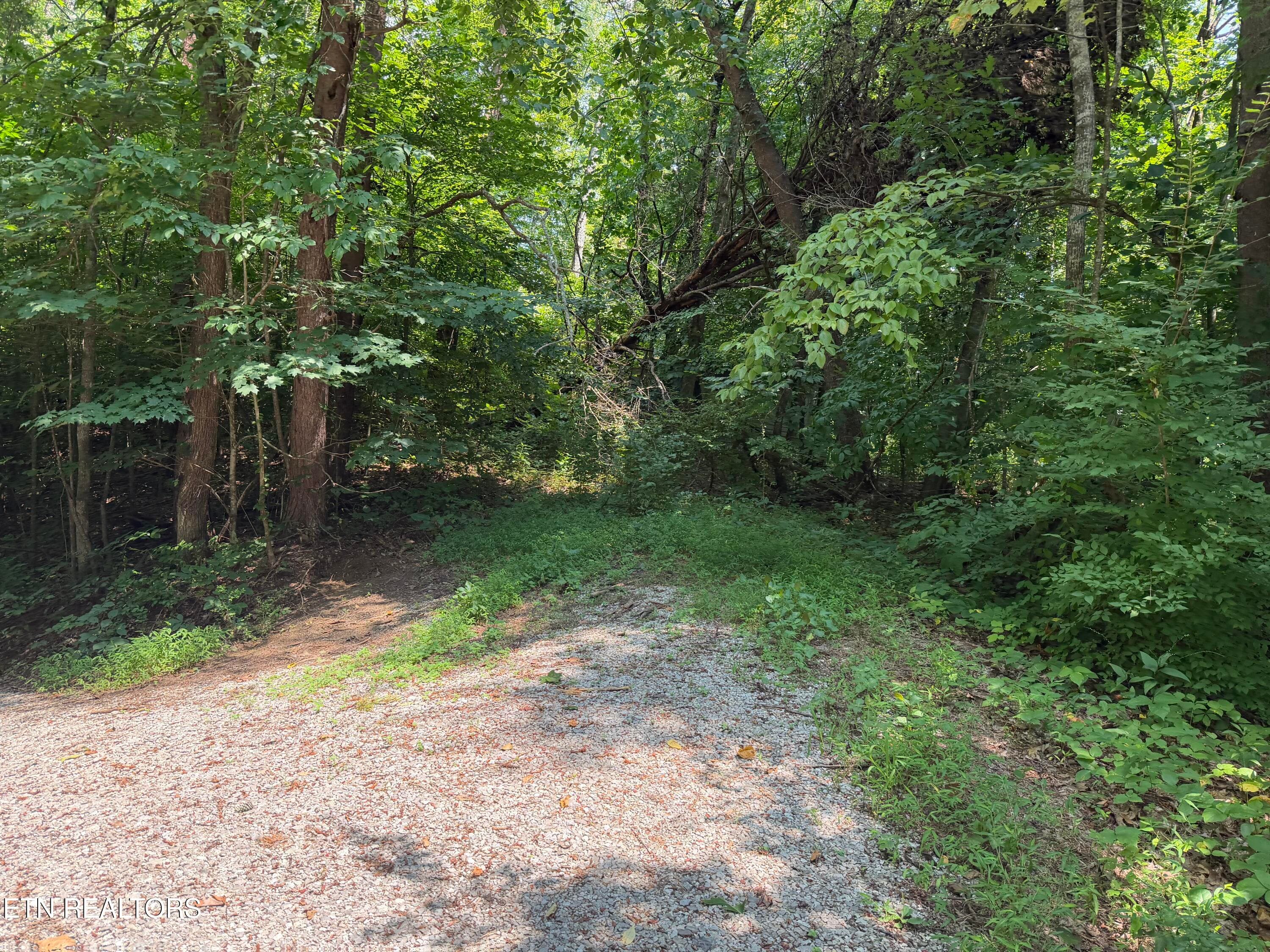 IMG_0322 - 2544 Hinds Creek Rd, Heiskell, TN 37754