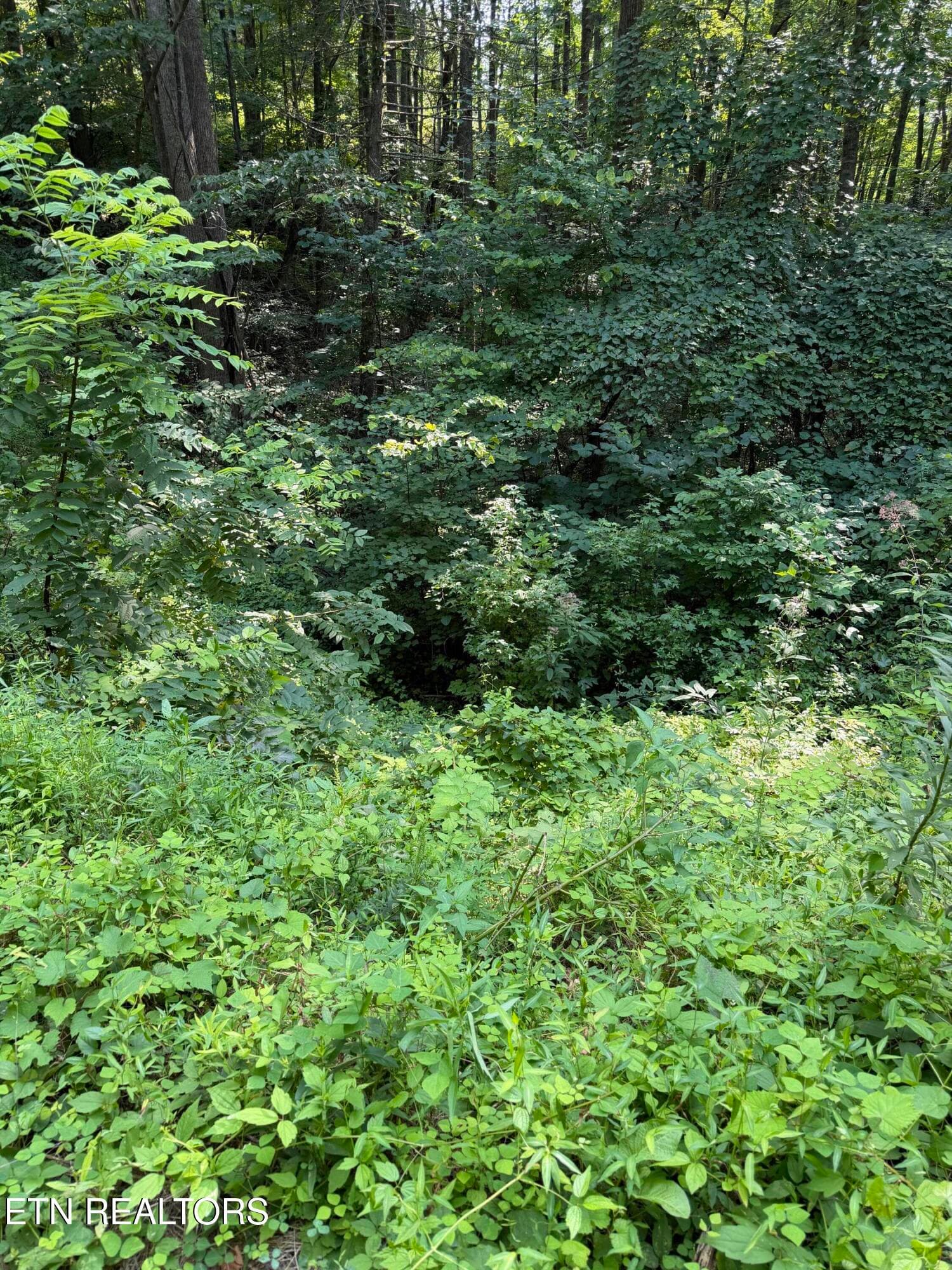 Lot 56 Butternut Lane, Sevierville, TN 37876