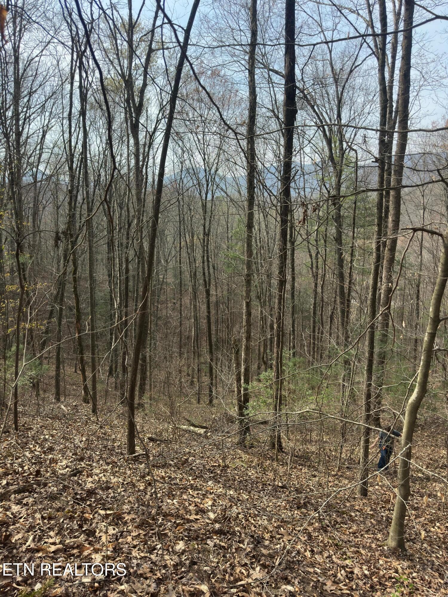 IMG_5323 - 320 Frost Bottom Rd, Oliver Springs, TN 37840