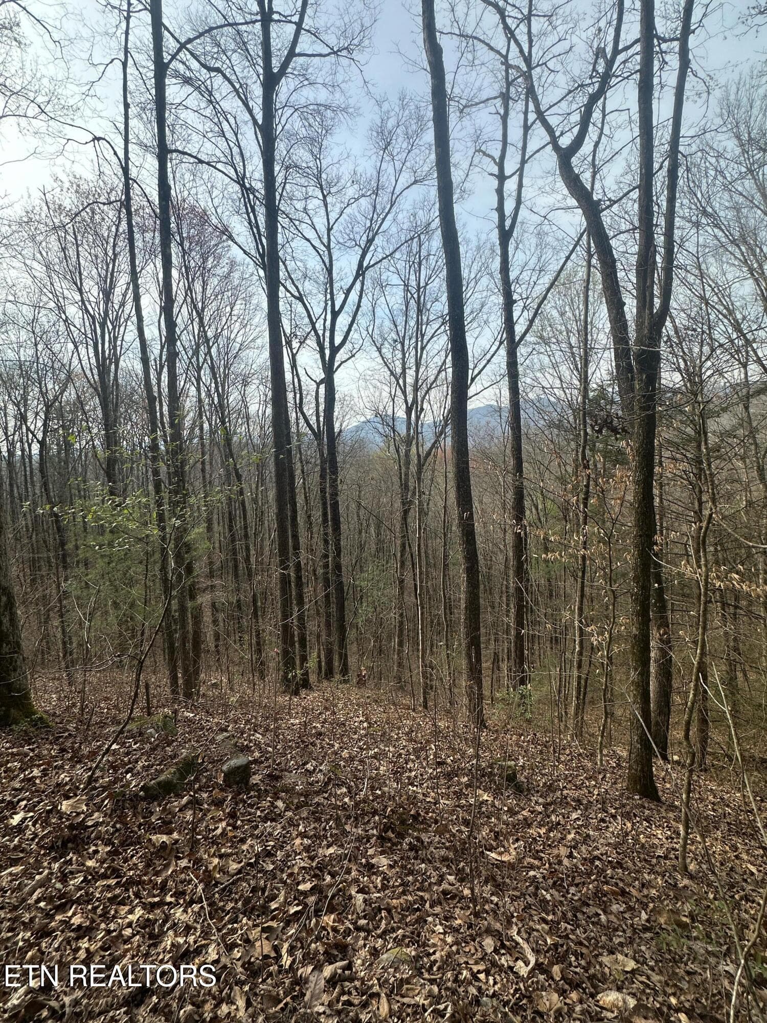 IMG_5326 - 320 Frost Bottom Rd, Oliver Springs, TN 37840