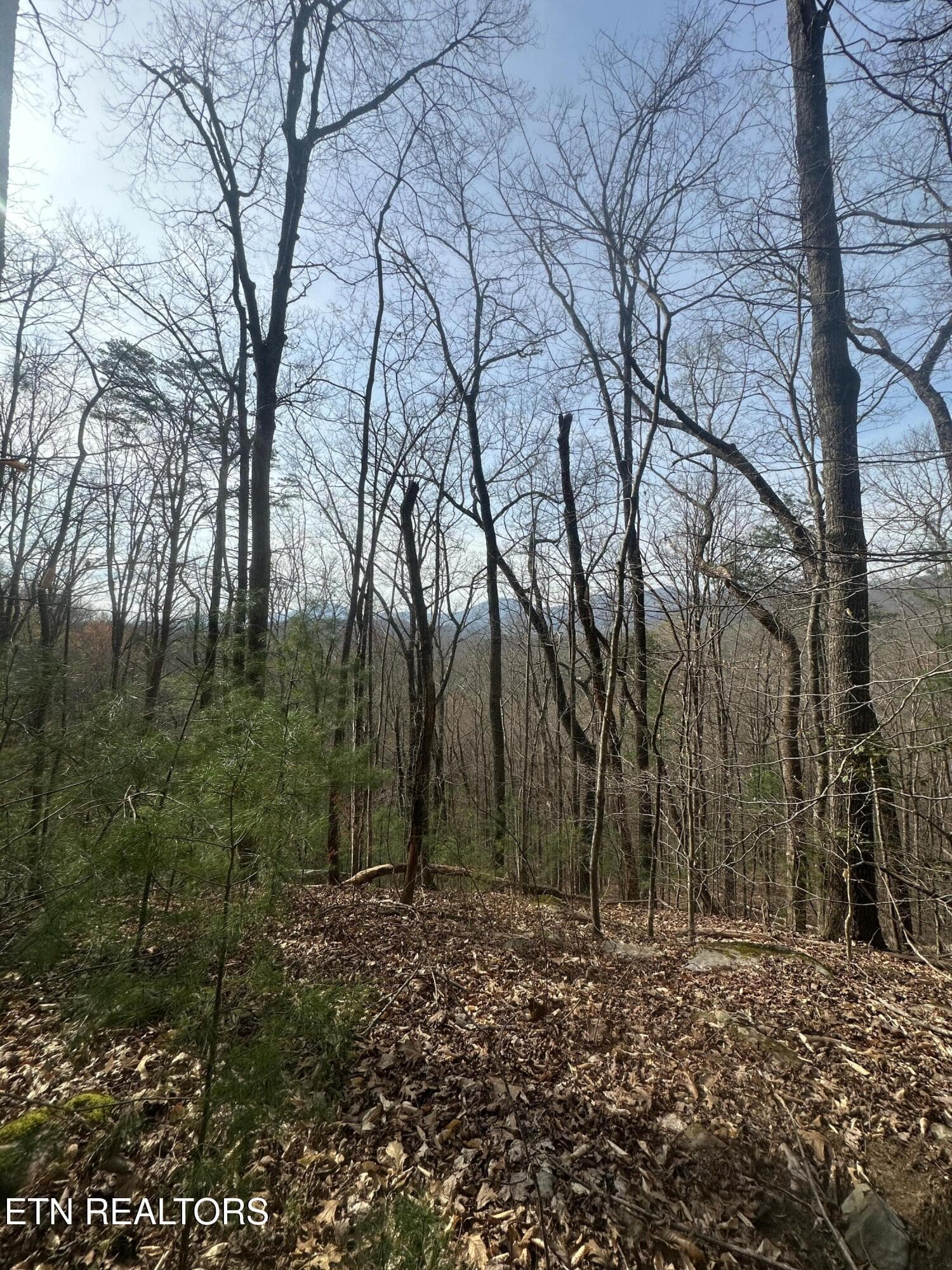 IMG_5341 - 320 Frost Bottom Rd, Oliver Springs, TN 37840