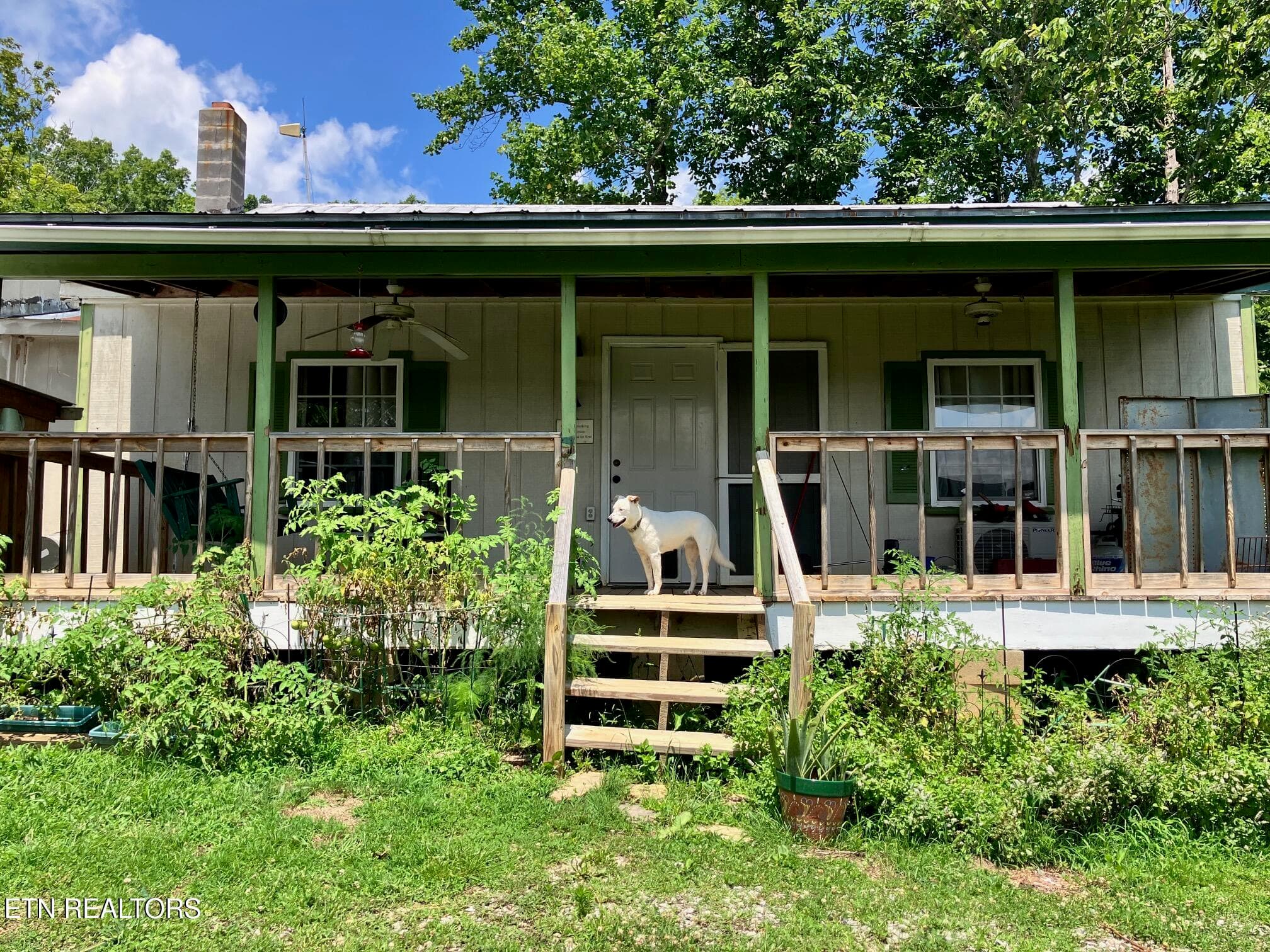 5271 Vardy Blackwater Rd, Sneedville, TN 37869