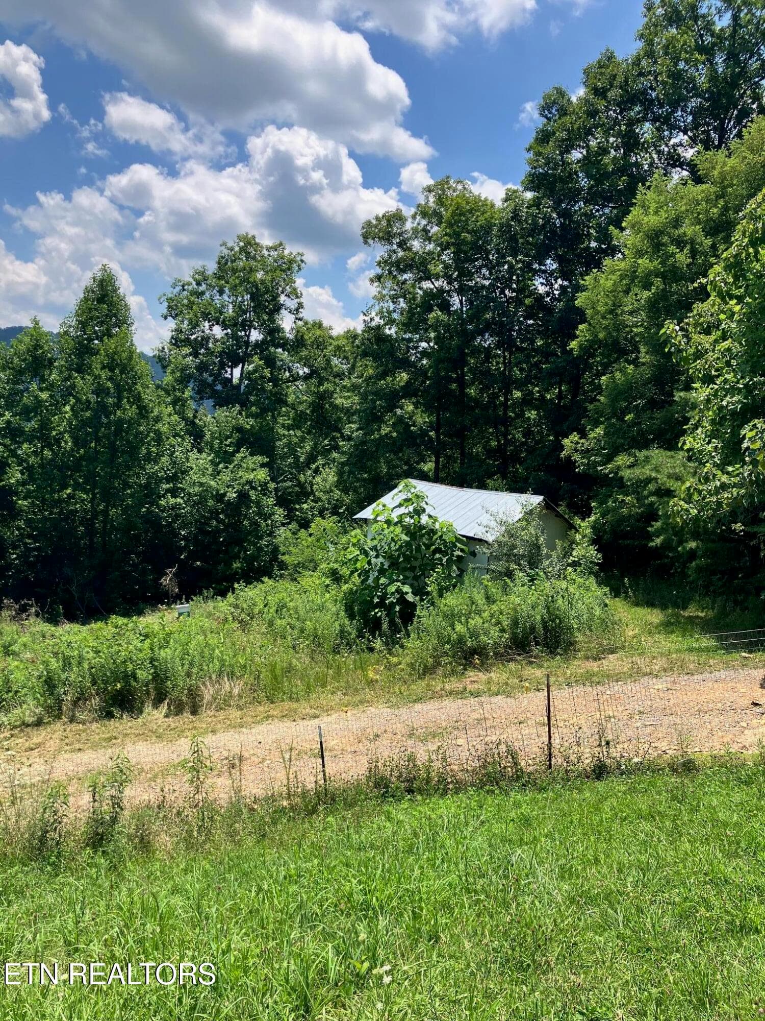 IMG_6059 - 5271 Vardy Blackwater Rd, Sneedville, TN 37869