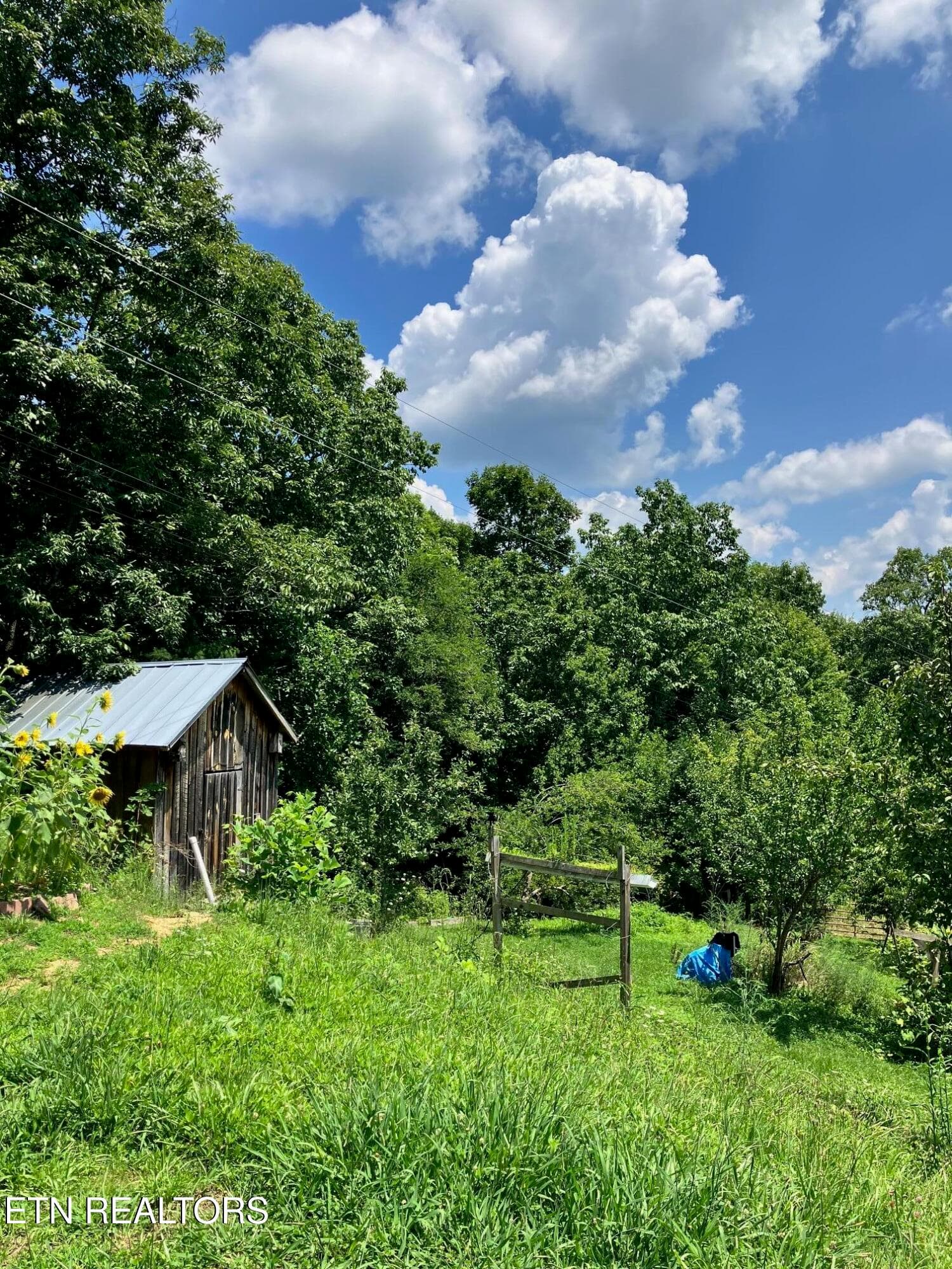 IMG_6057 - 5271 Vardy Blackwater Rd, Sneedville, TN 37869